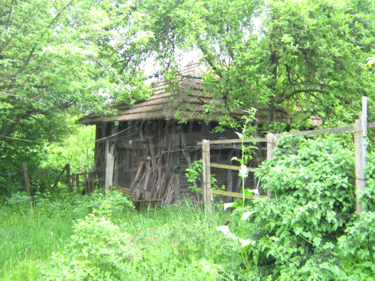 Gallery Picture 11
