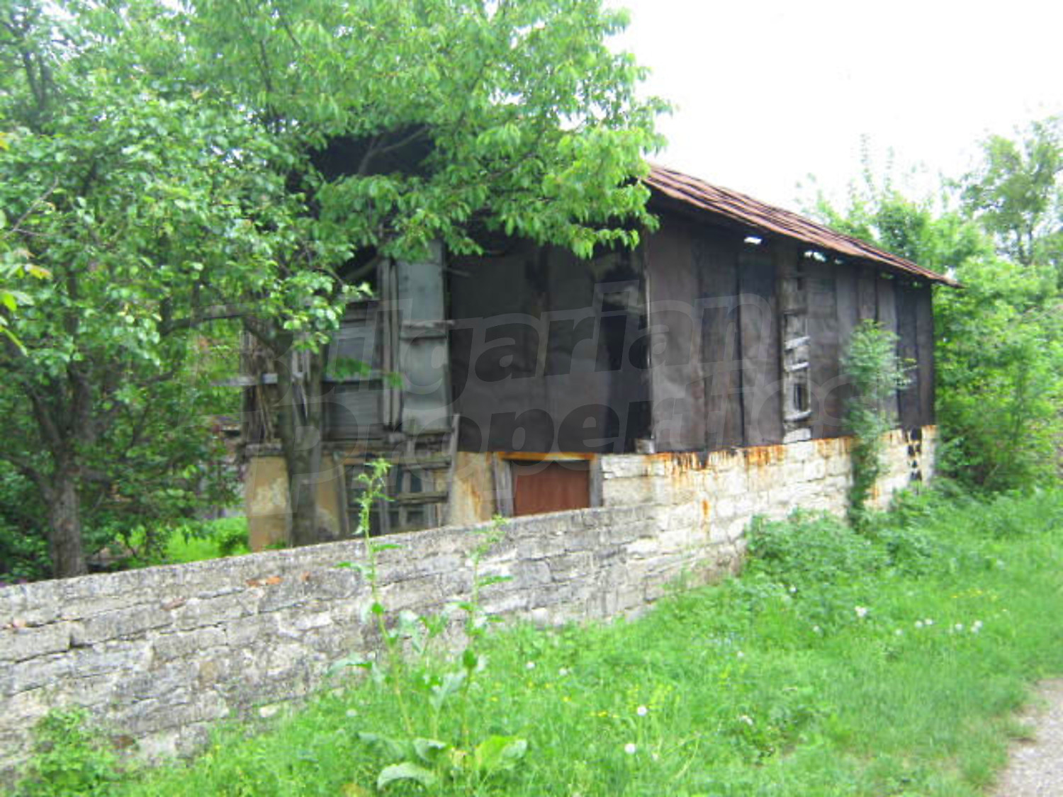 Gallery Picture 12