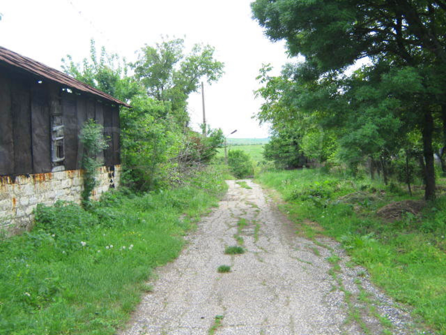 Gallery Picture 13