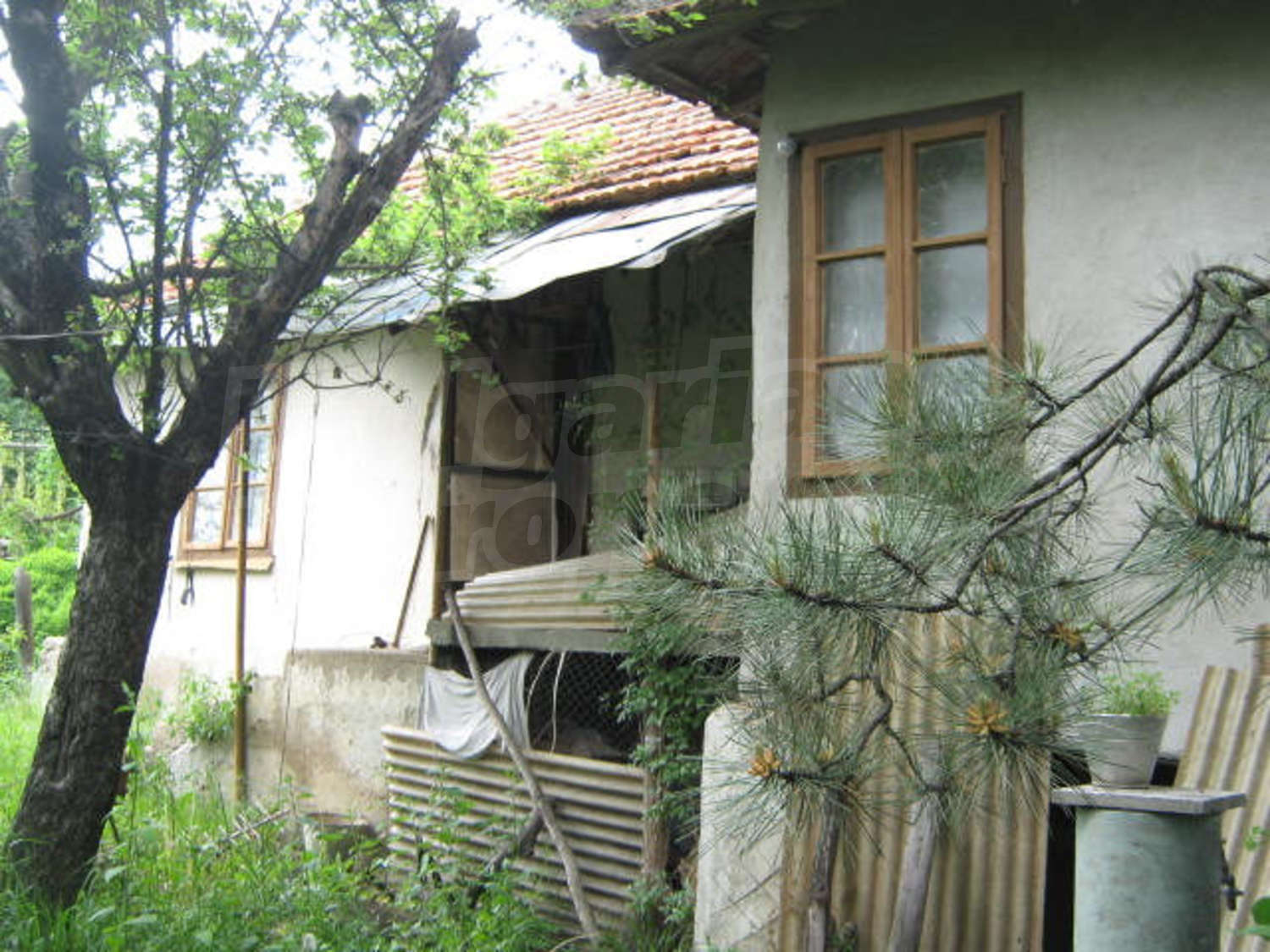 Gallery Picture 3