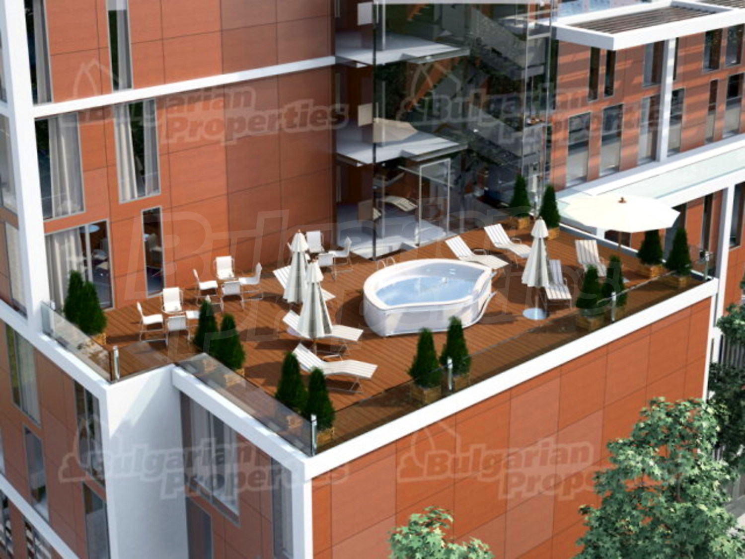Gallery Picture 6