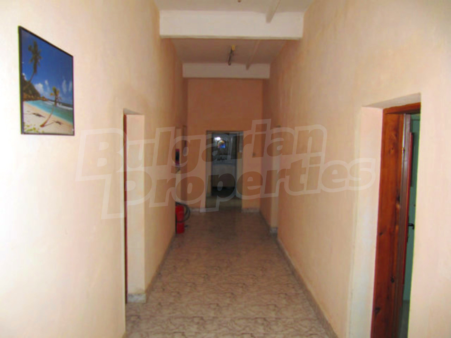 Gallery Picture 11
