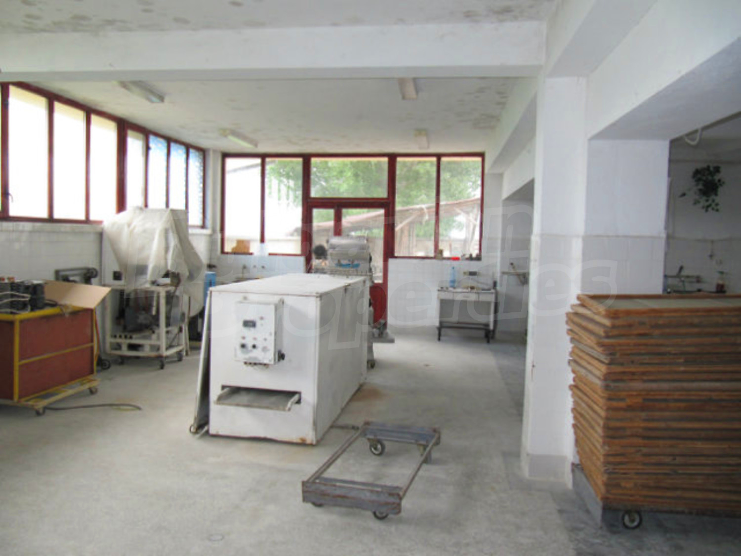 Gallery Picture 27