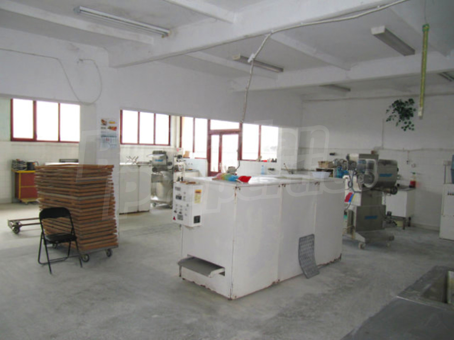 Gallery Picture 29