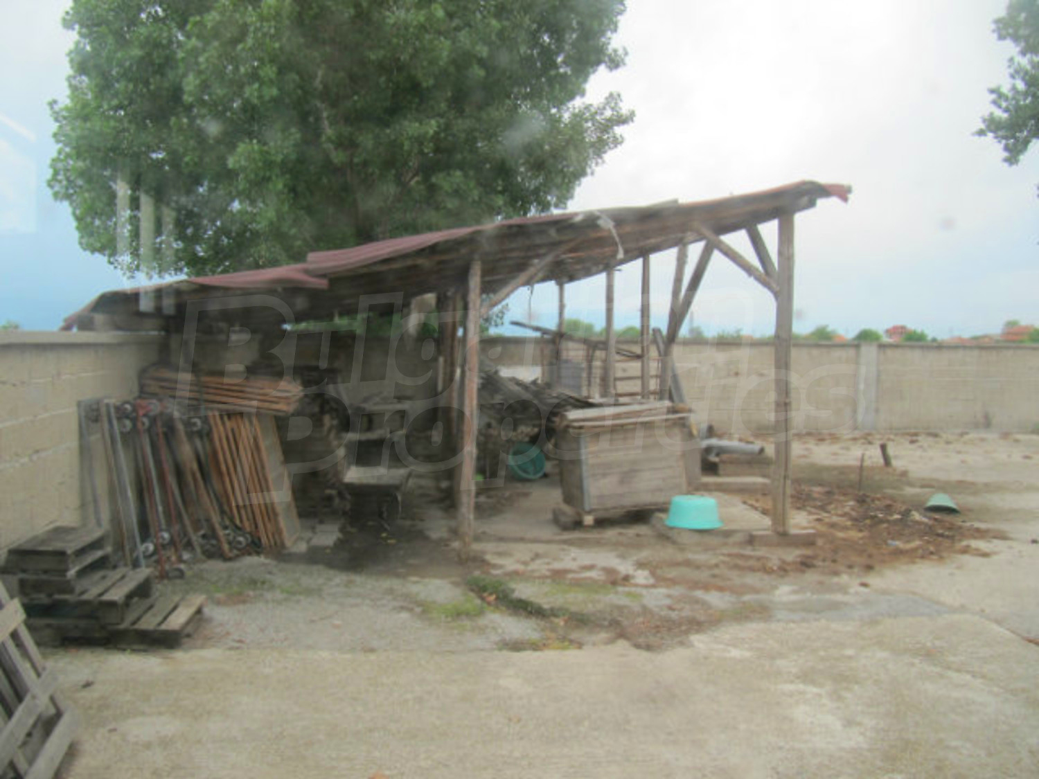 Gallery Picture 34