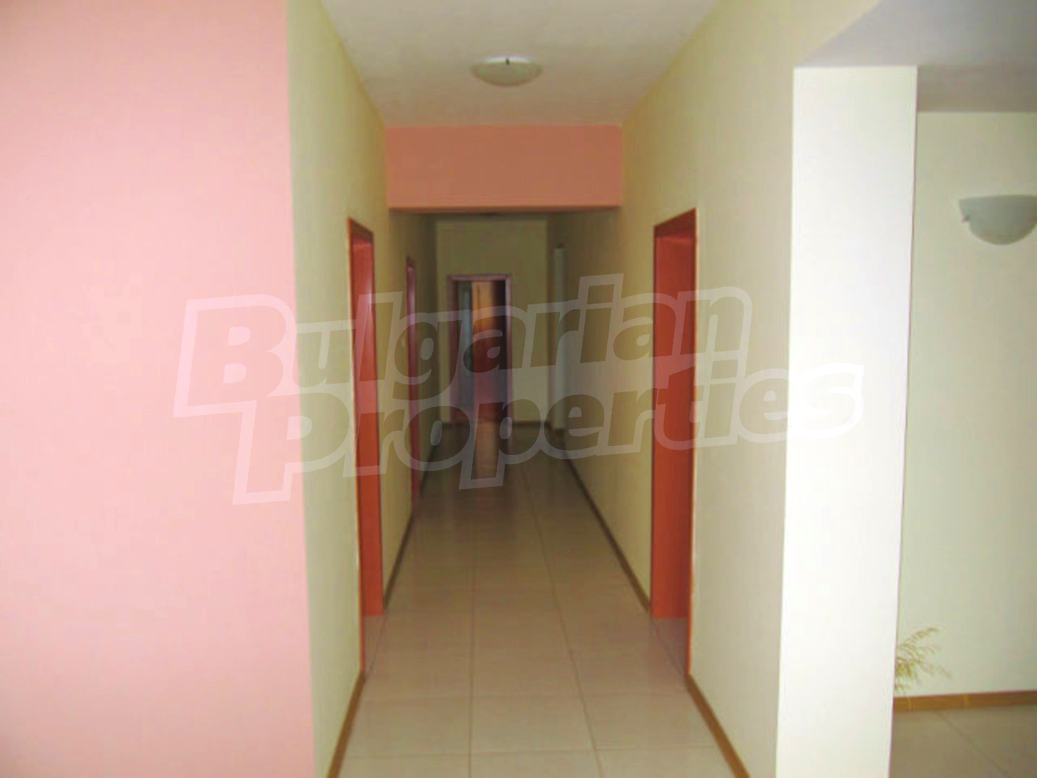 Gallery Picture 37