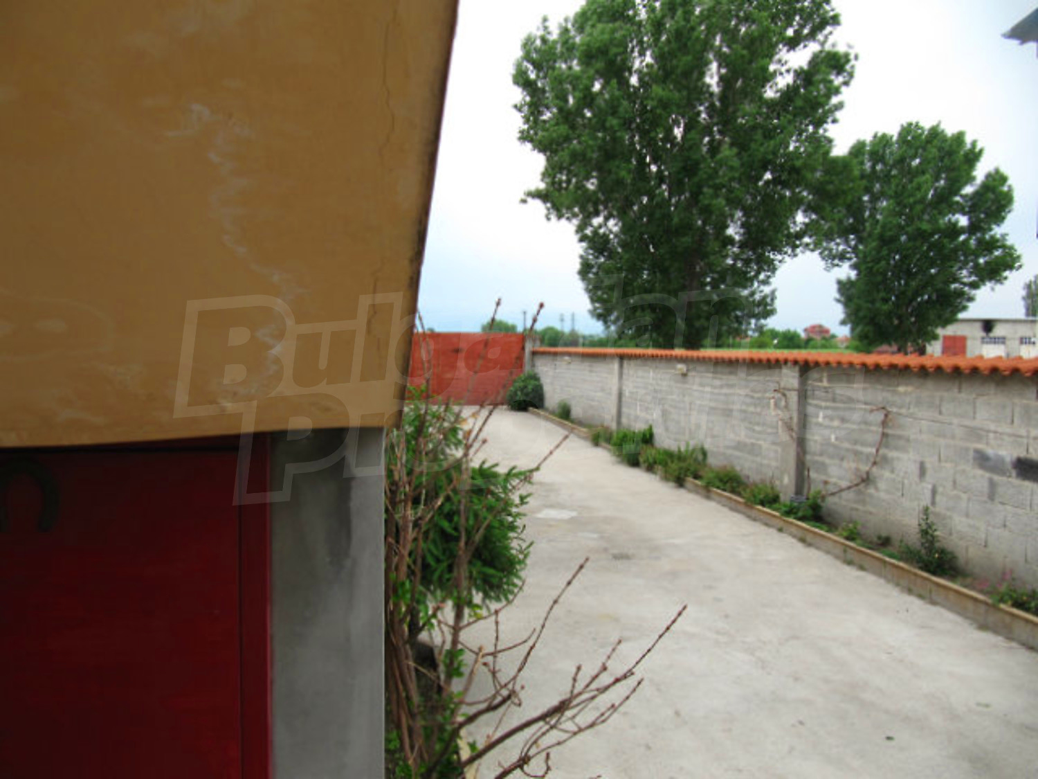 Gallery Picture 7