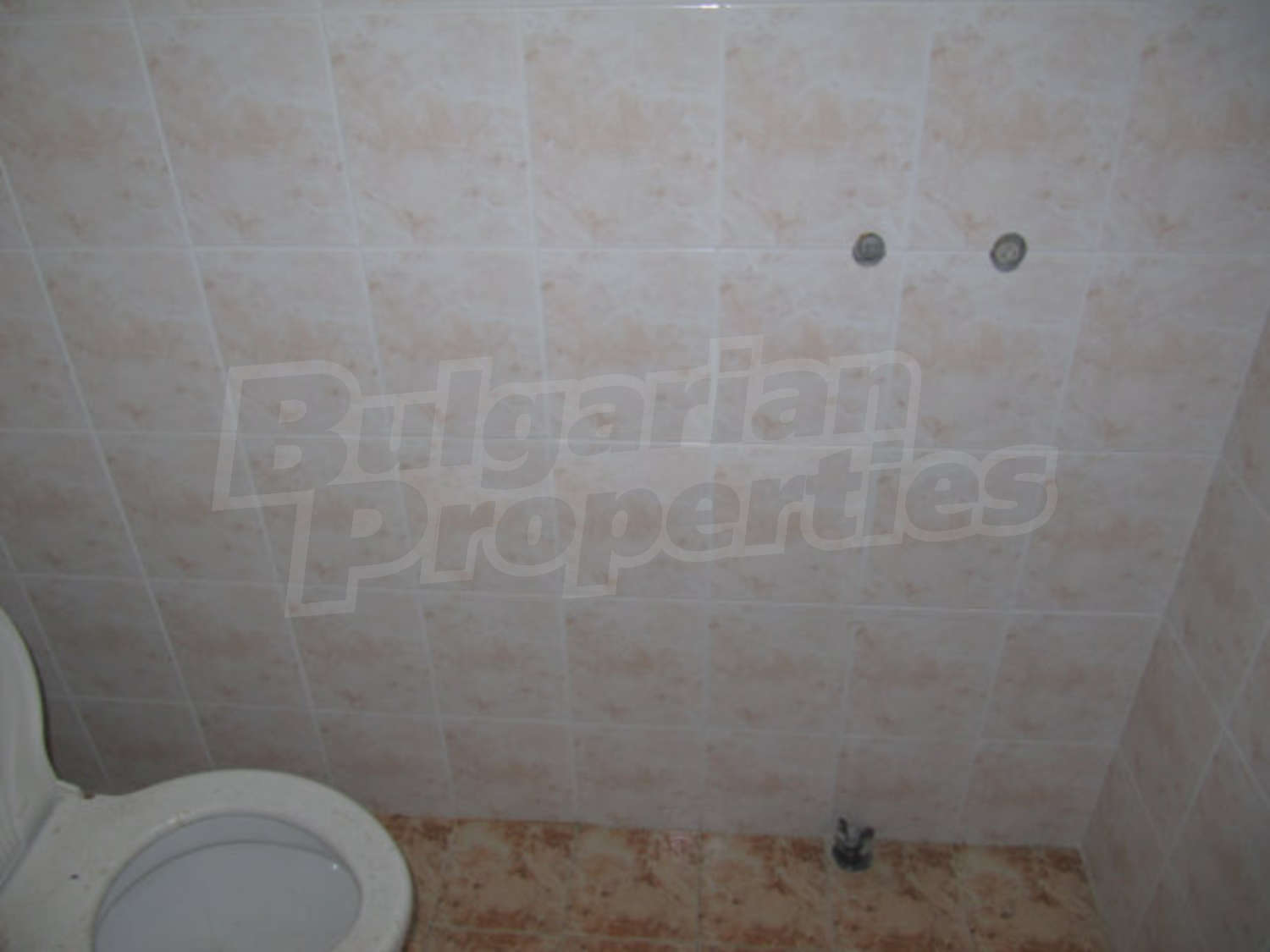 Gallery Picture 10