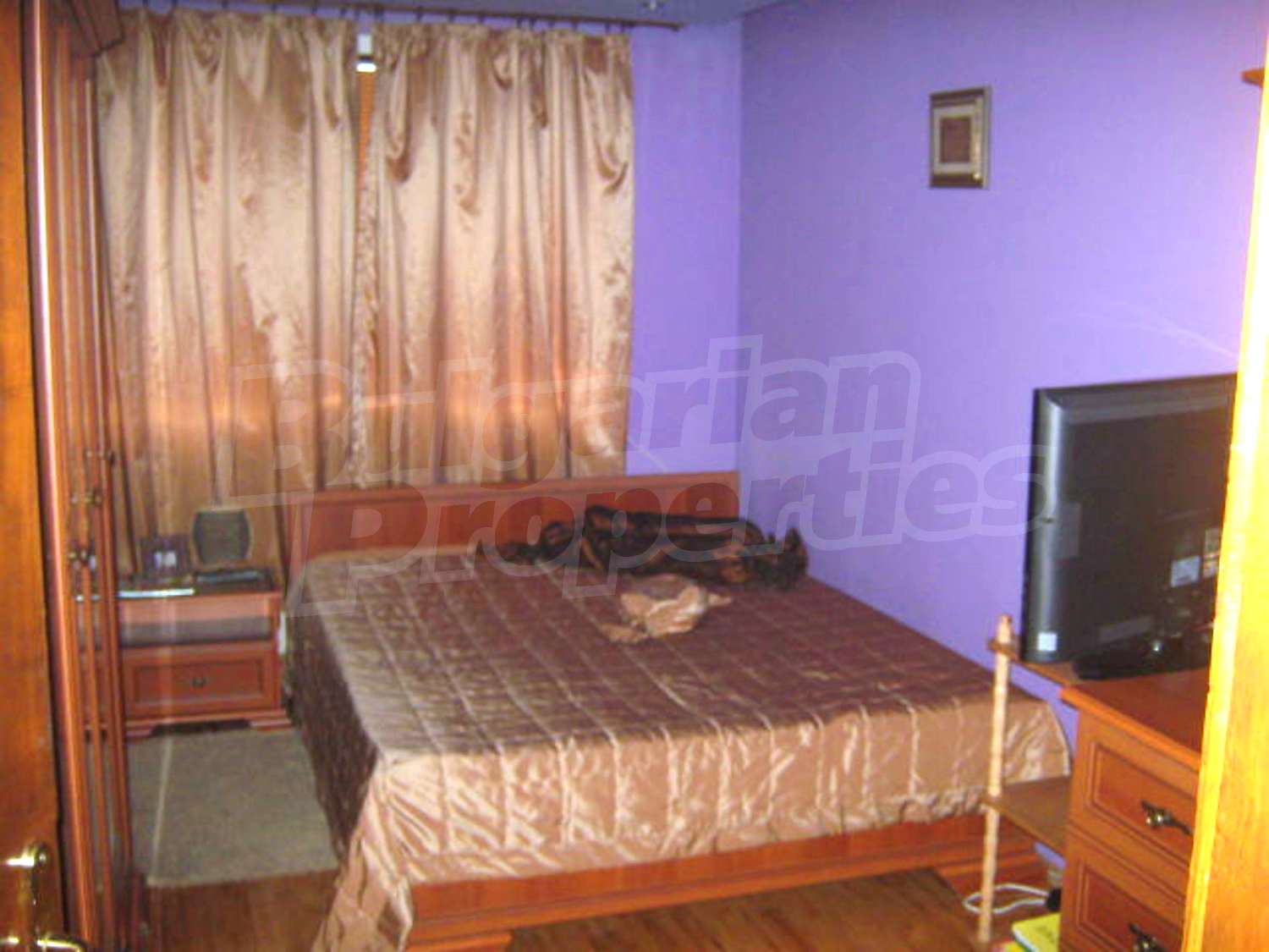 Gallery Picture 10