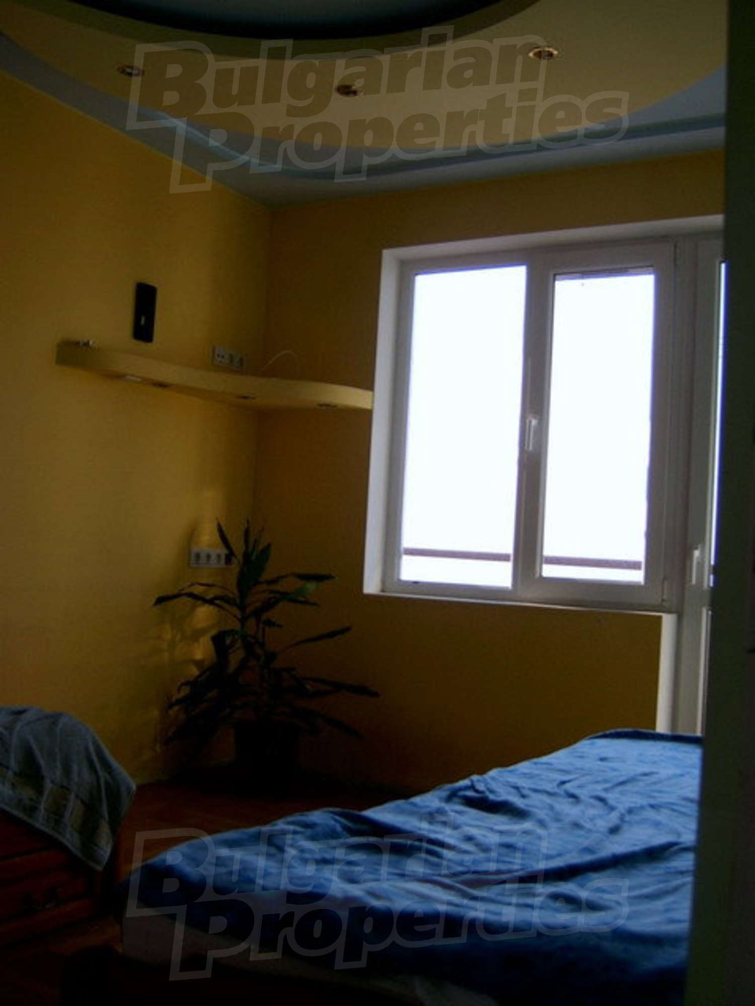 Gallery Picture 9
