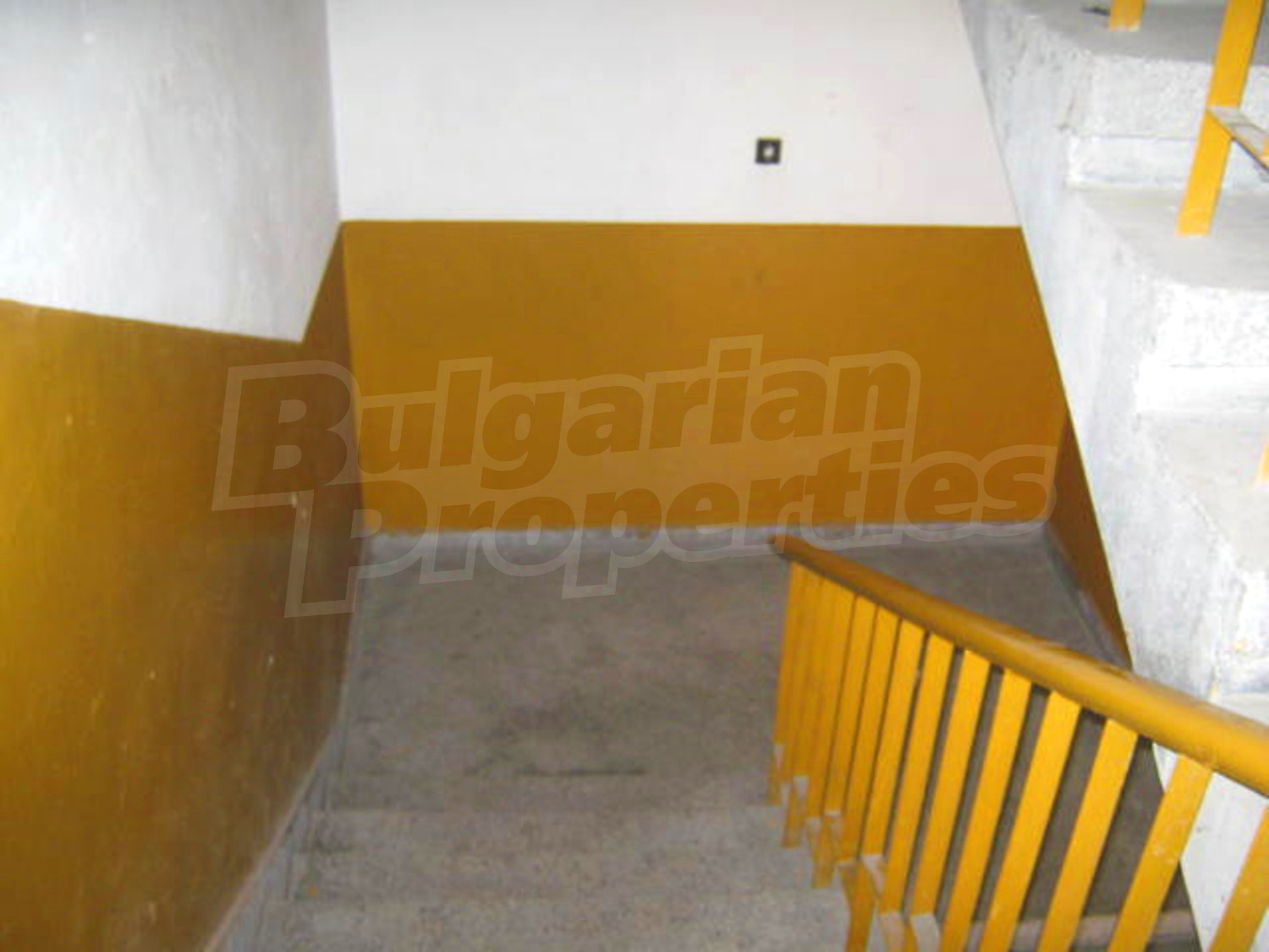 Gallery Picture 12