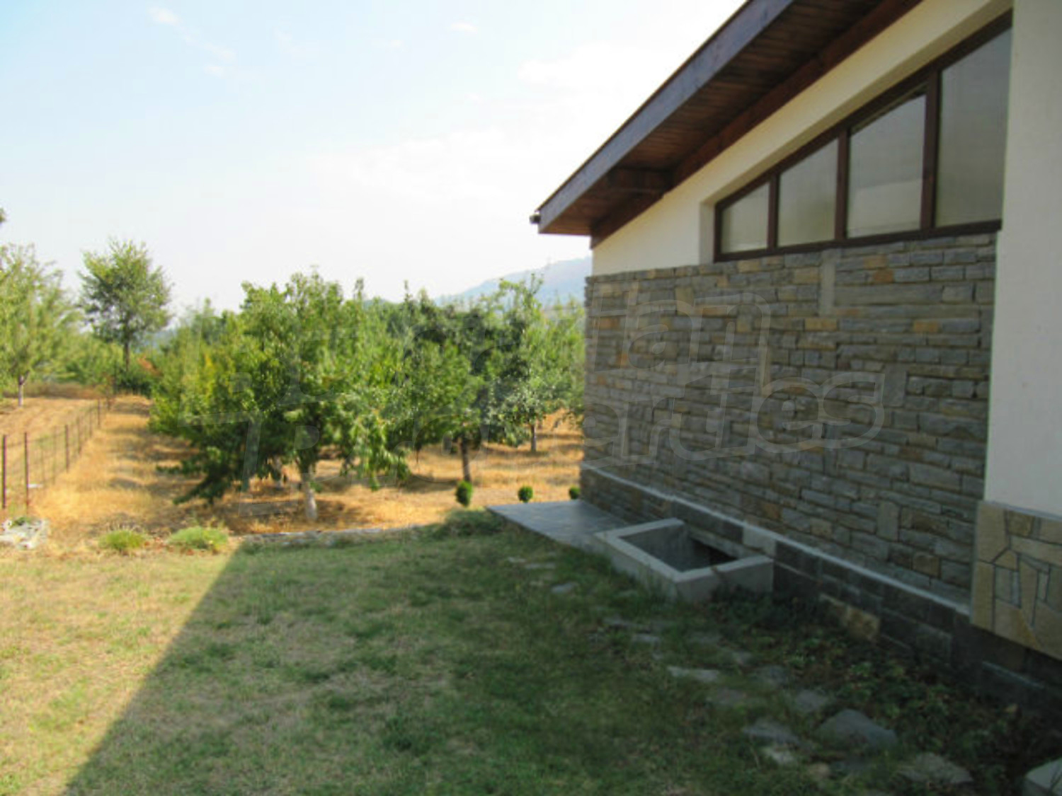 Gallery Picture 45