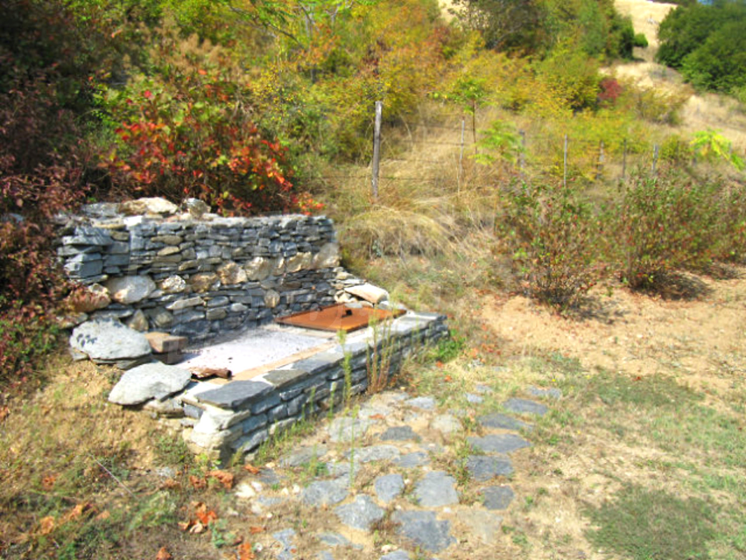 Gallery Picture 47