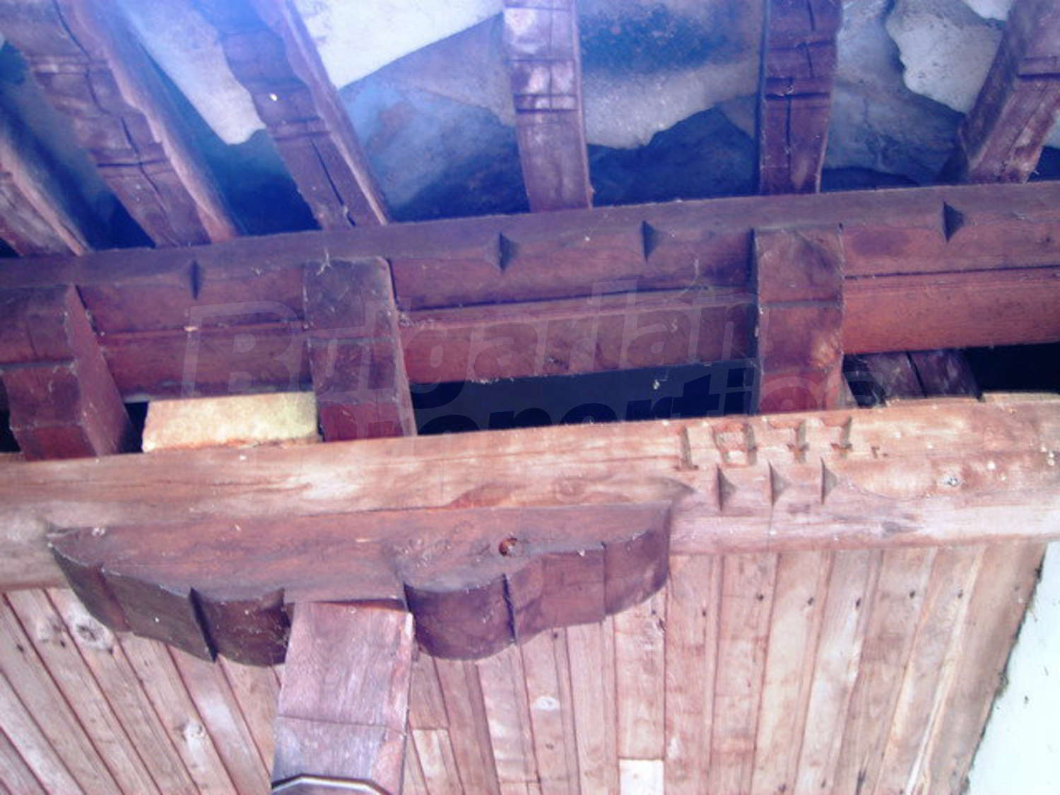Gallery Picture 10