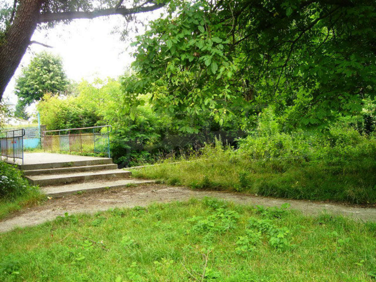 Gallery Picture 22