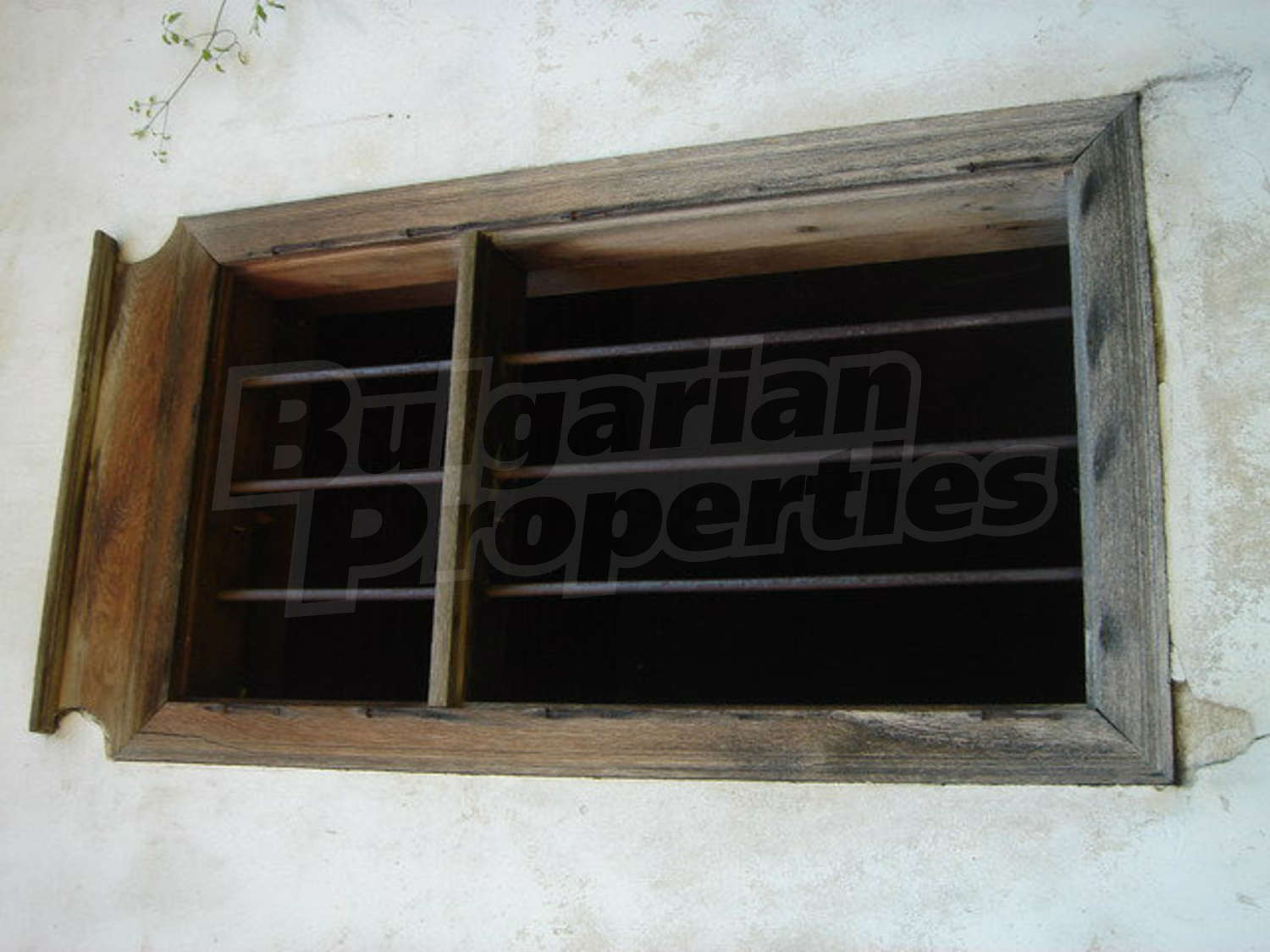 Gallery Picture 40