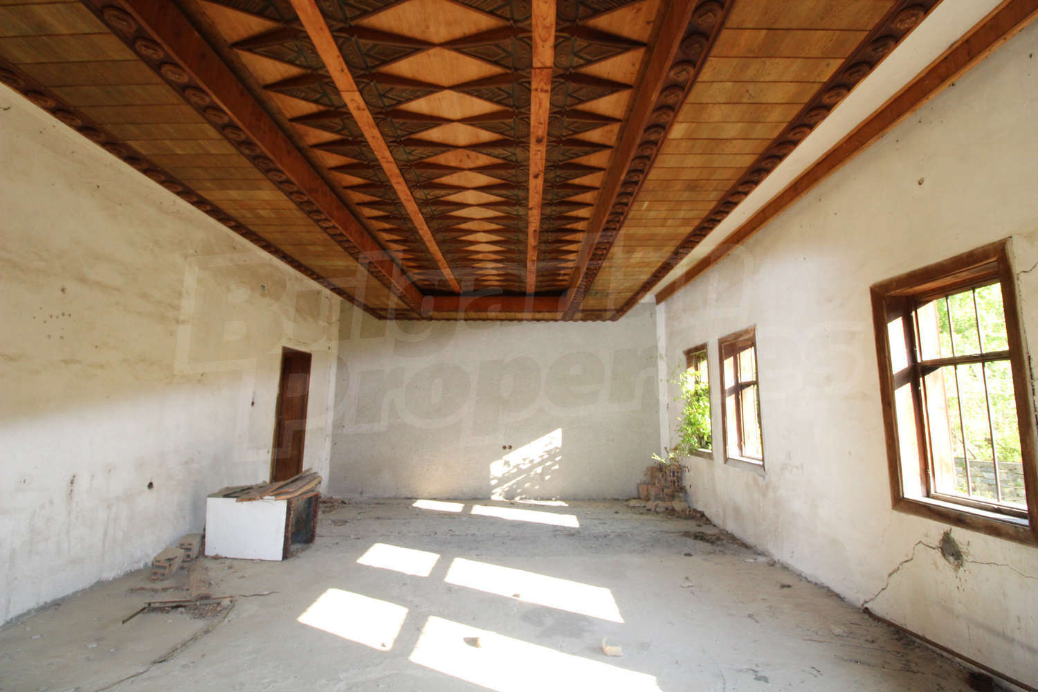 Gallery Picture 65