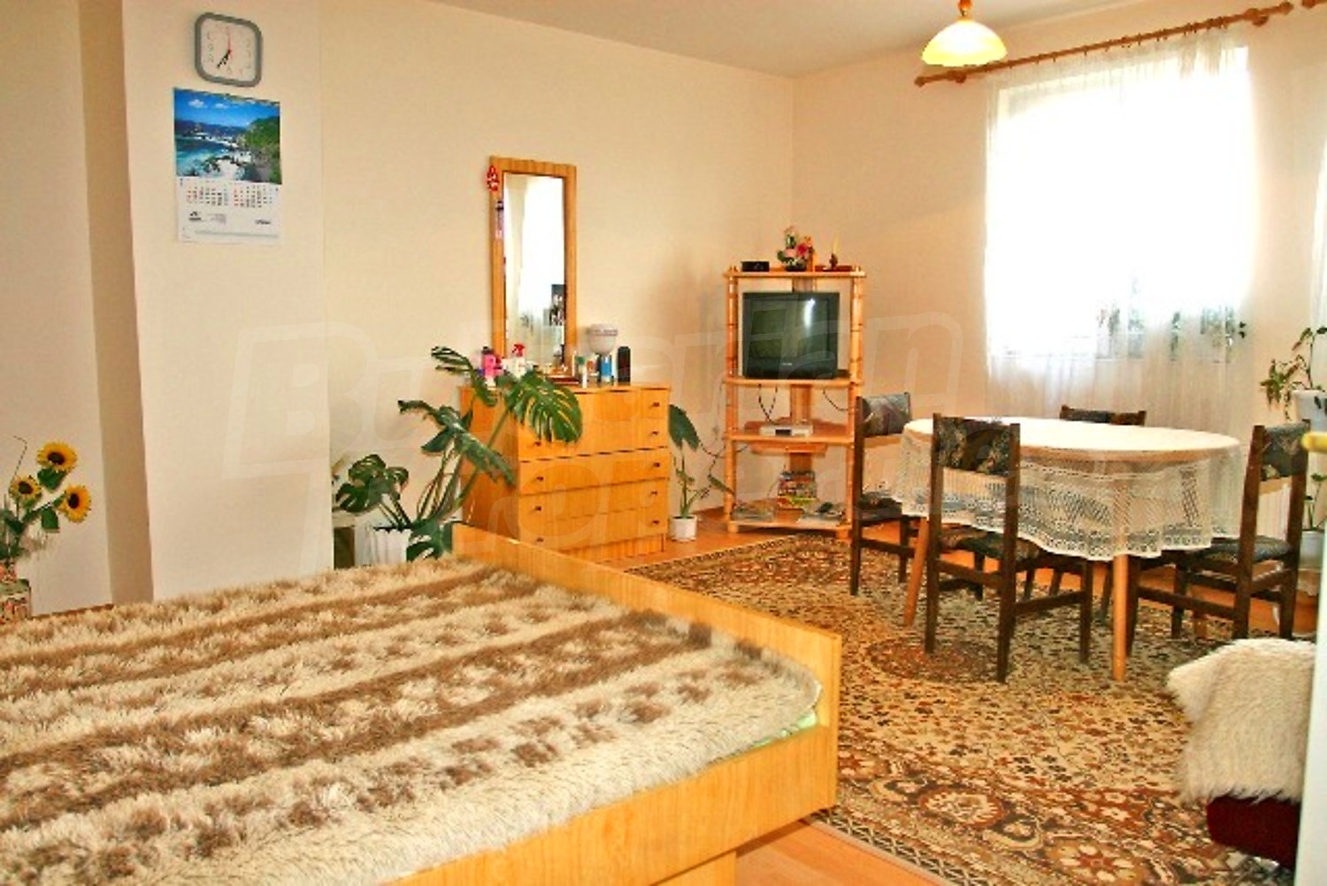 Gallery Picture 12