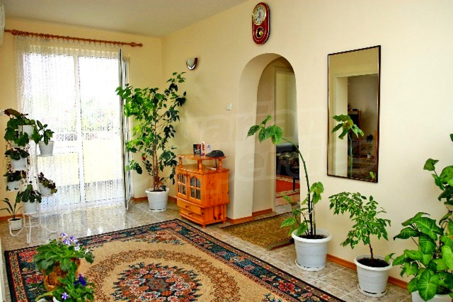Gallery Picture 14