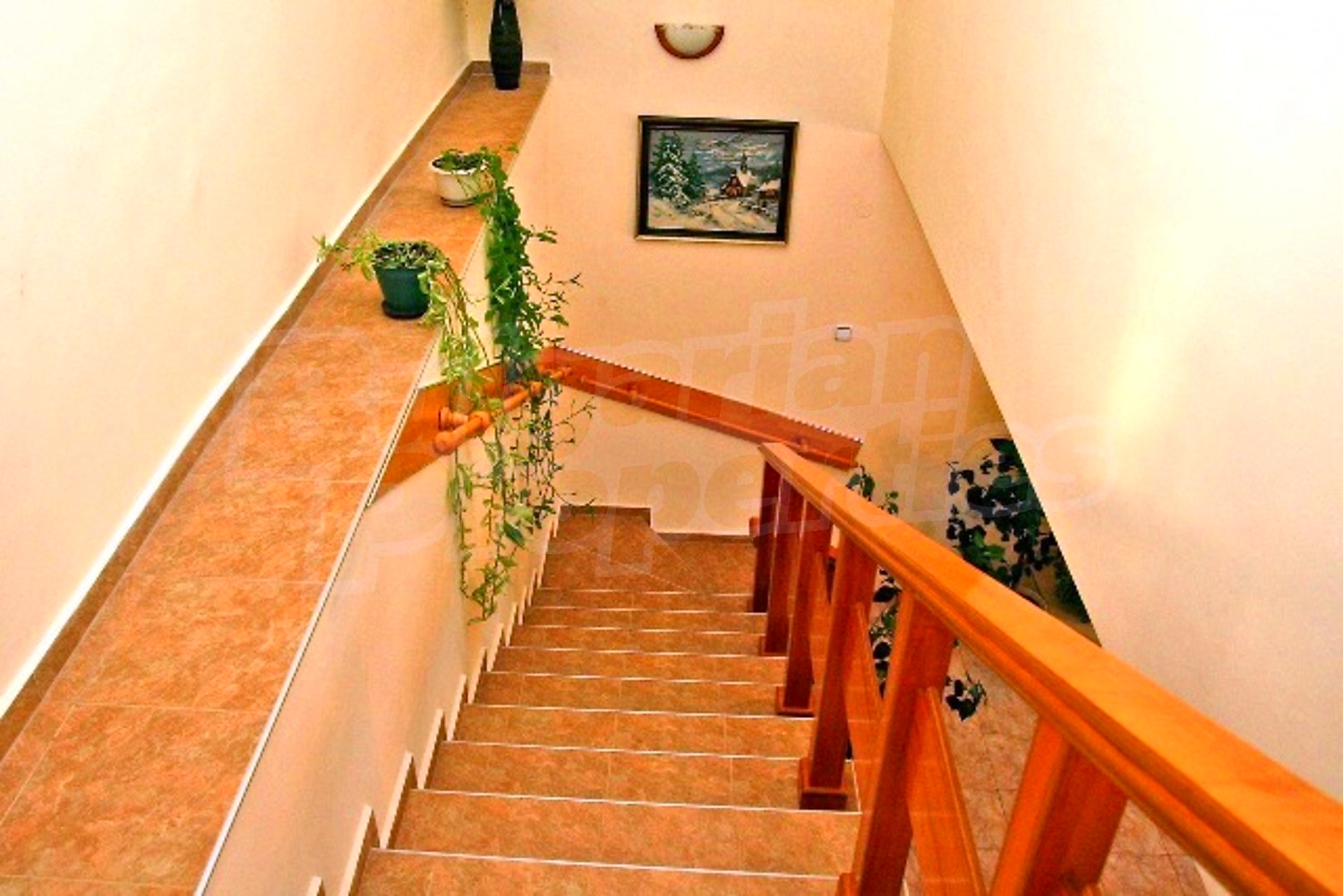 Gallery Picture 15