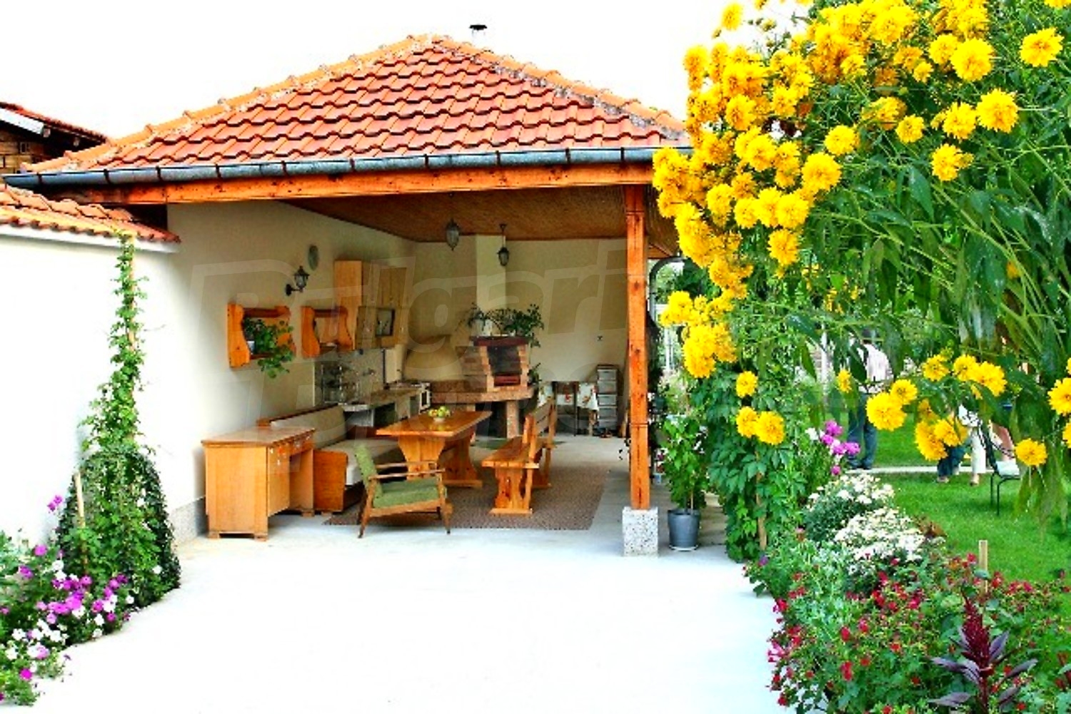 Gallery Picture 7