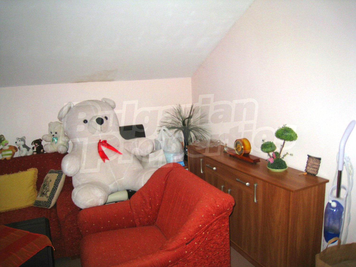 Gallery Picture 23