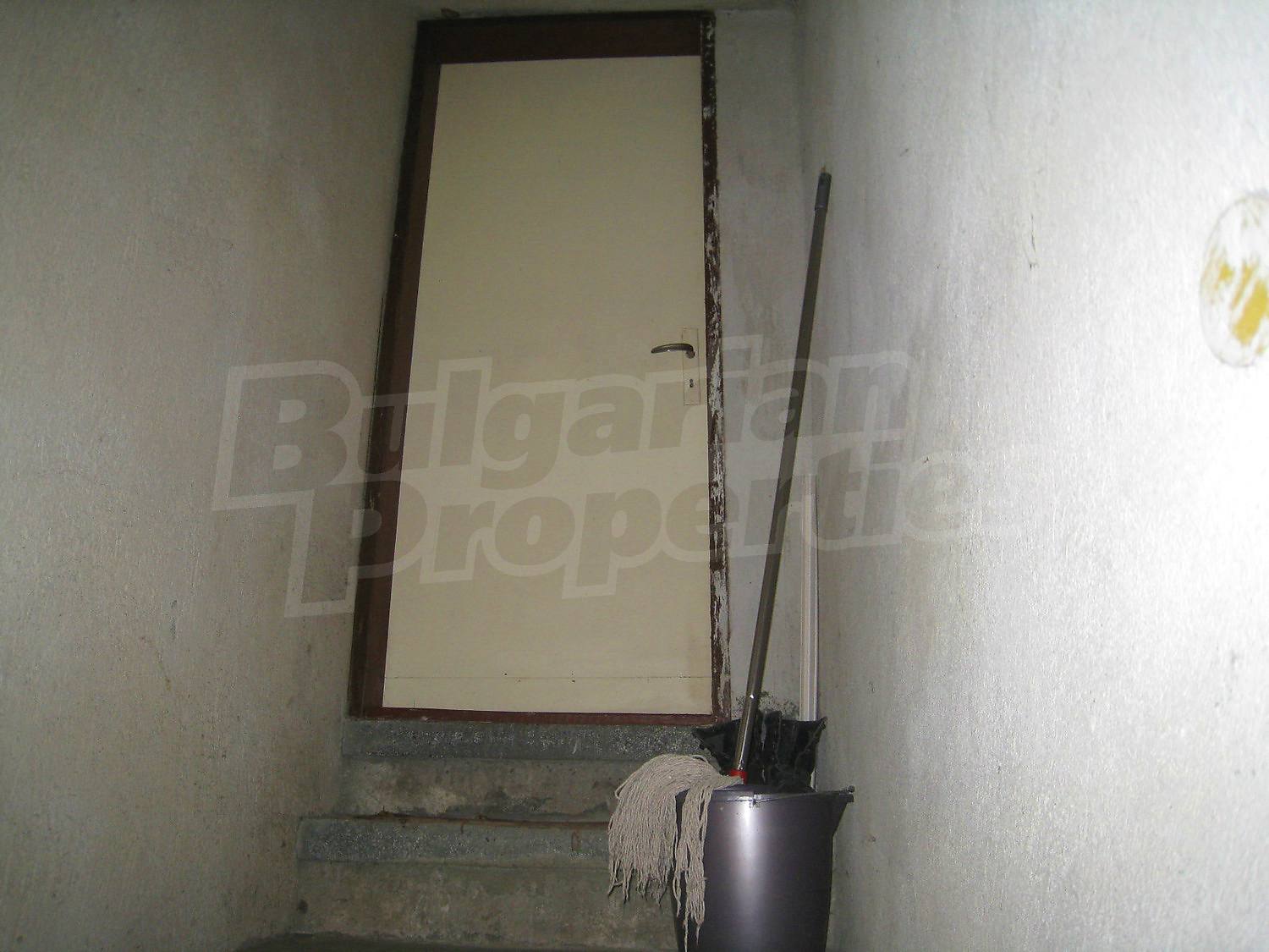 Gallery Picture 47