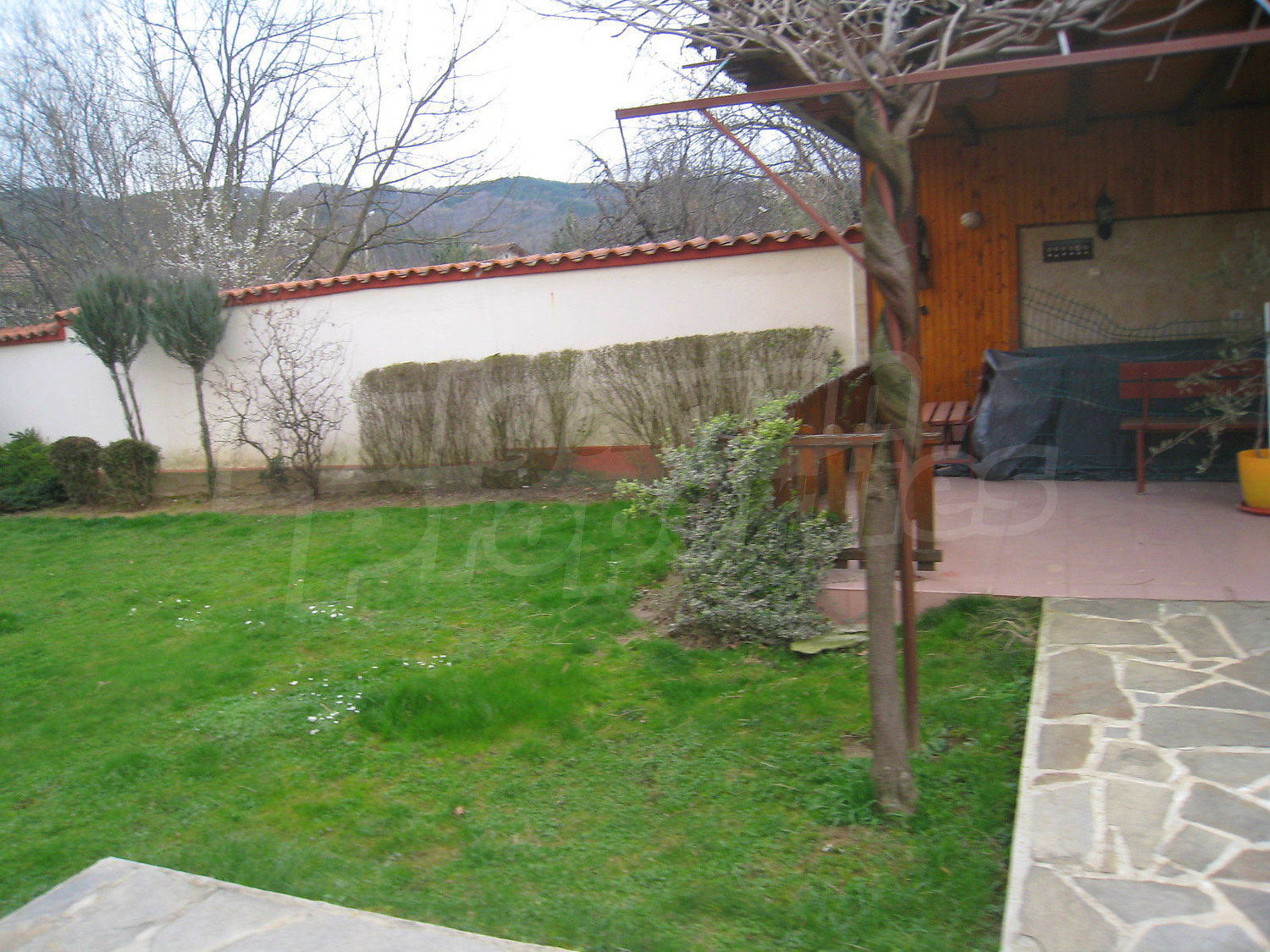 Gallery Picture 48