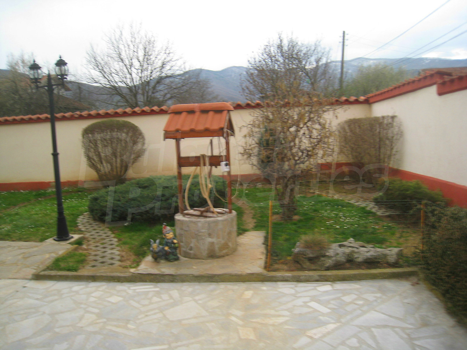 Gallery Picture 53