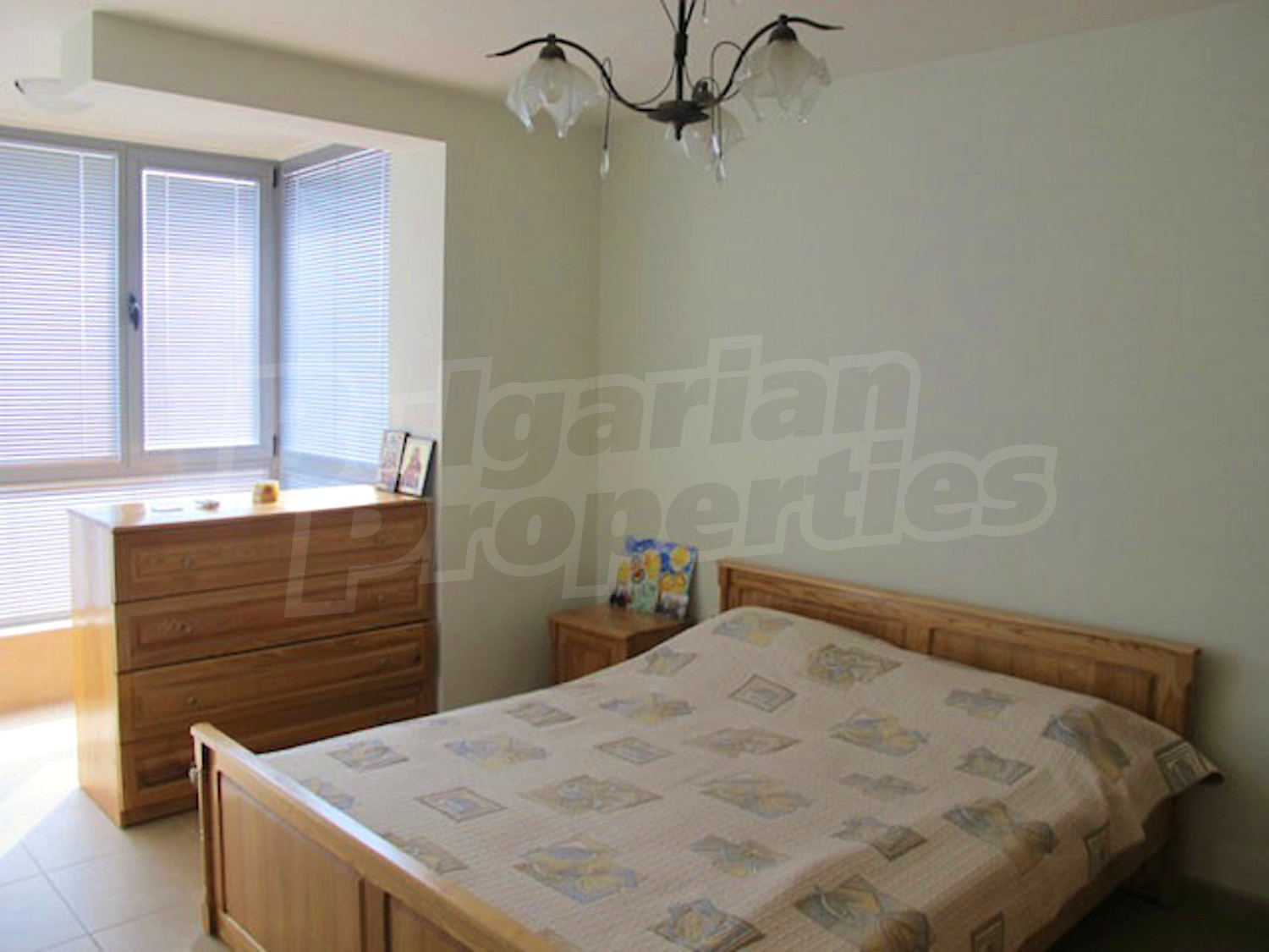 Gallery Picture 19