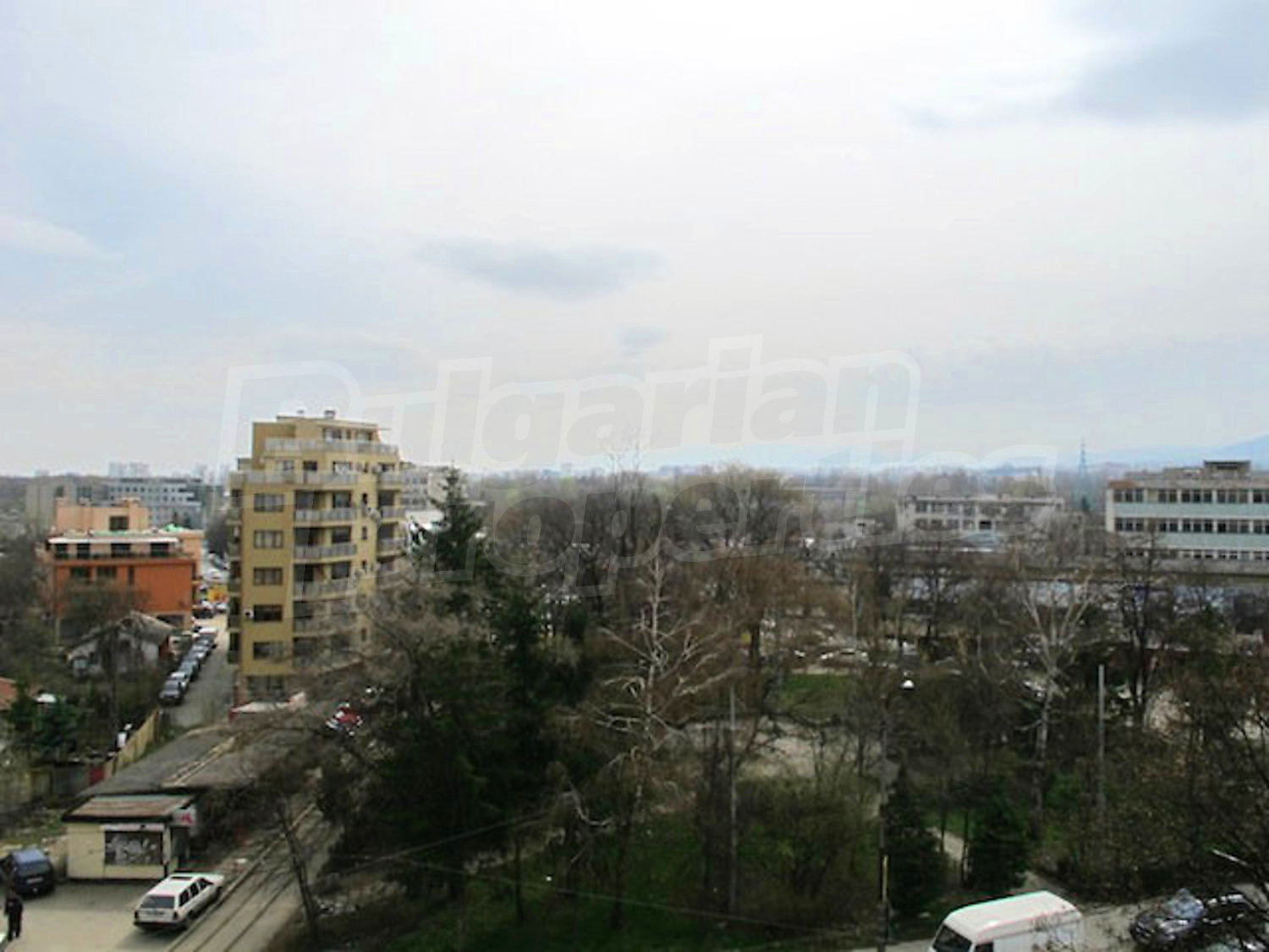 Gallery Picture 21