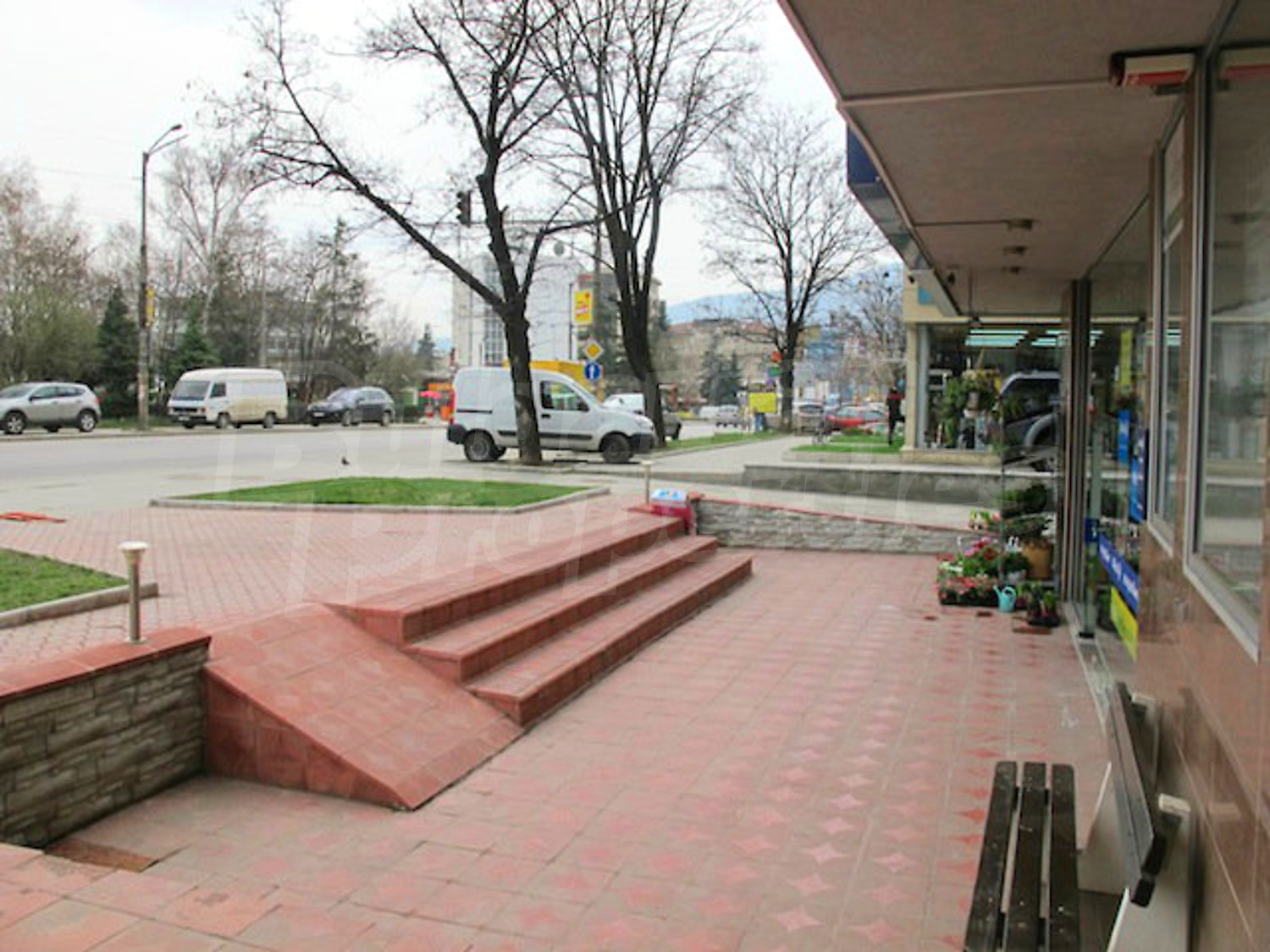 Gallery Picture 31