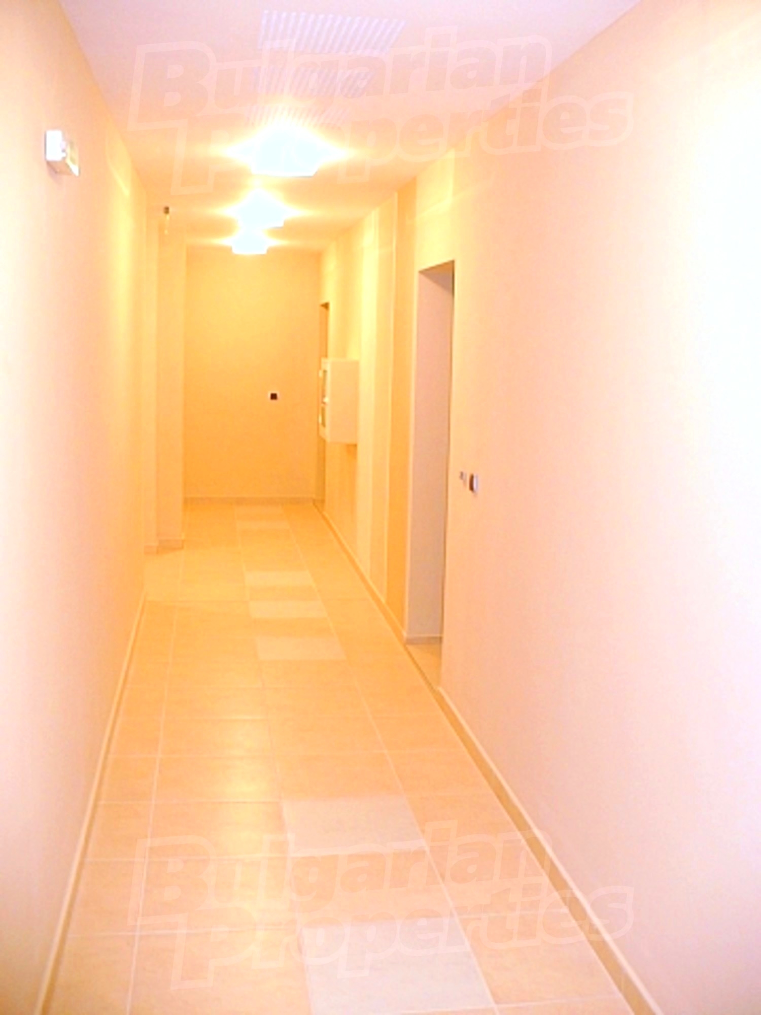 Gallery Picture 25