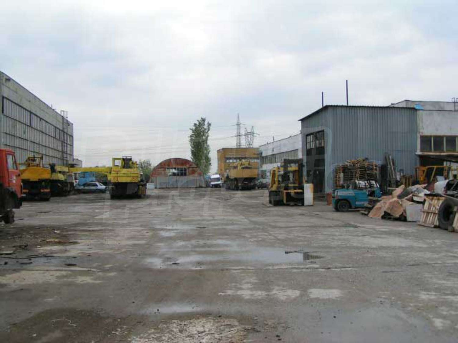 Gallery Picture 17
