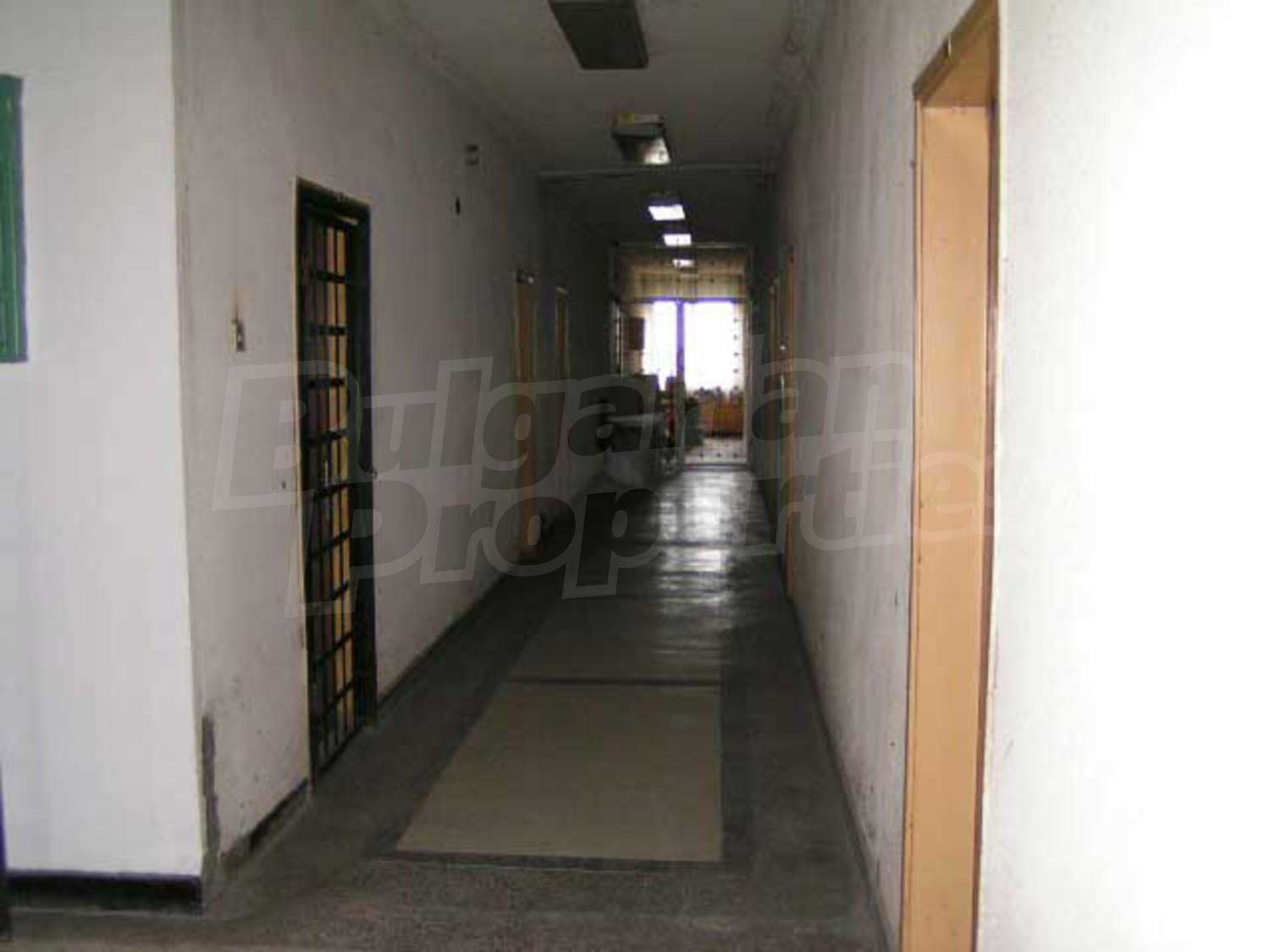 Gallery Picture 26