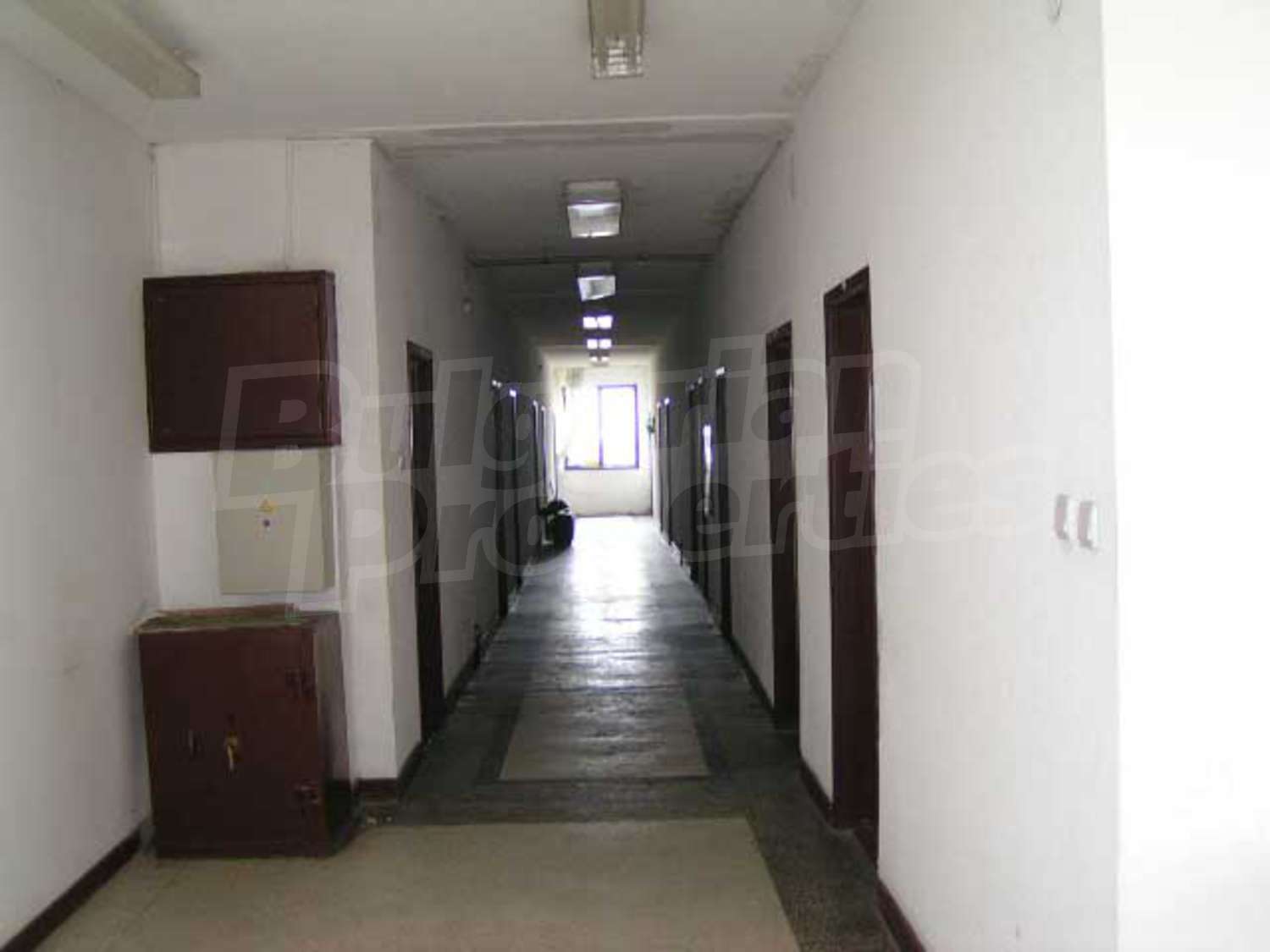 Gallery Picture 27