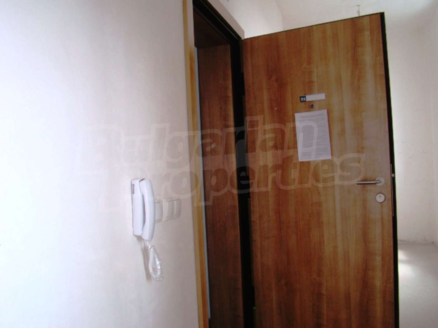 Gallery Picture 12