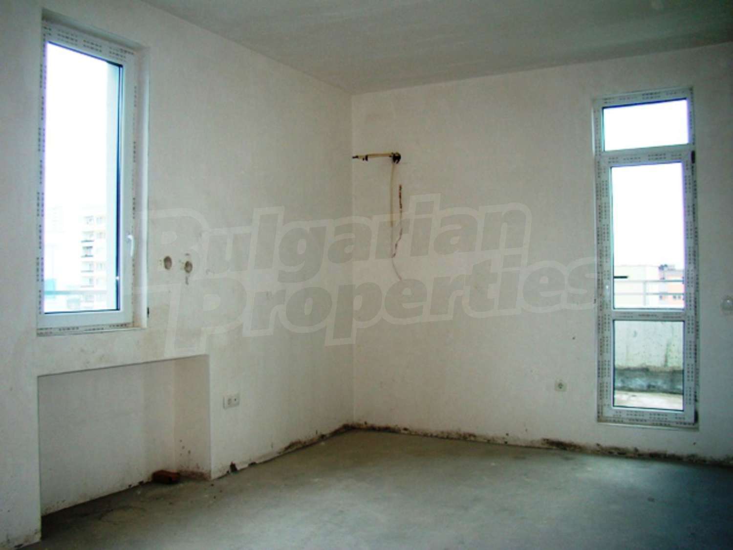 Gallery Picture 24
