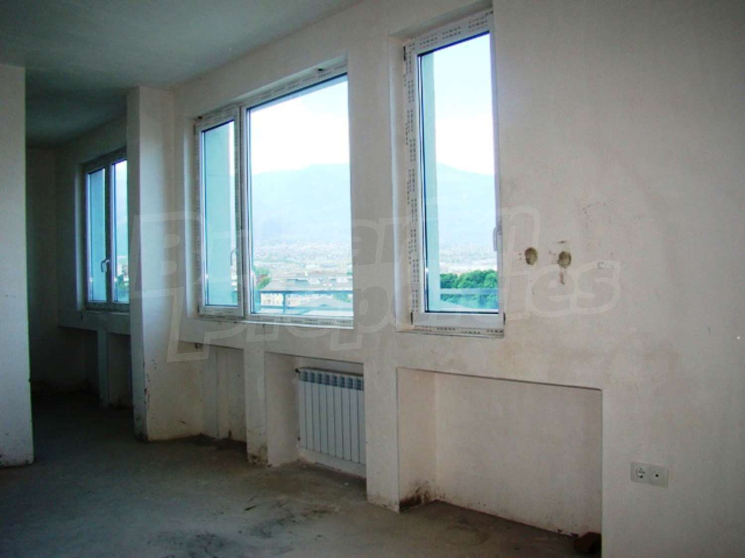 Gallery Picture 25
