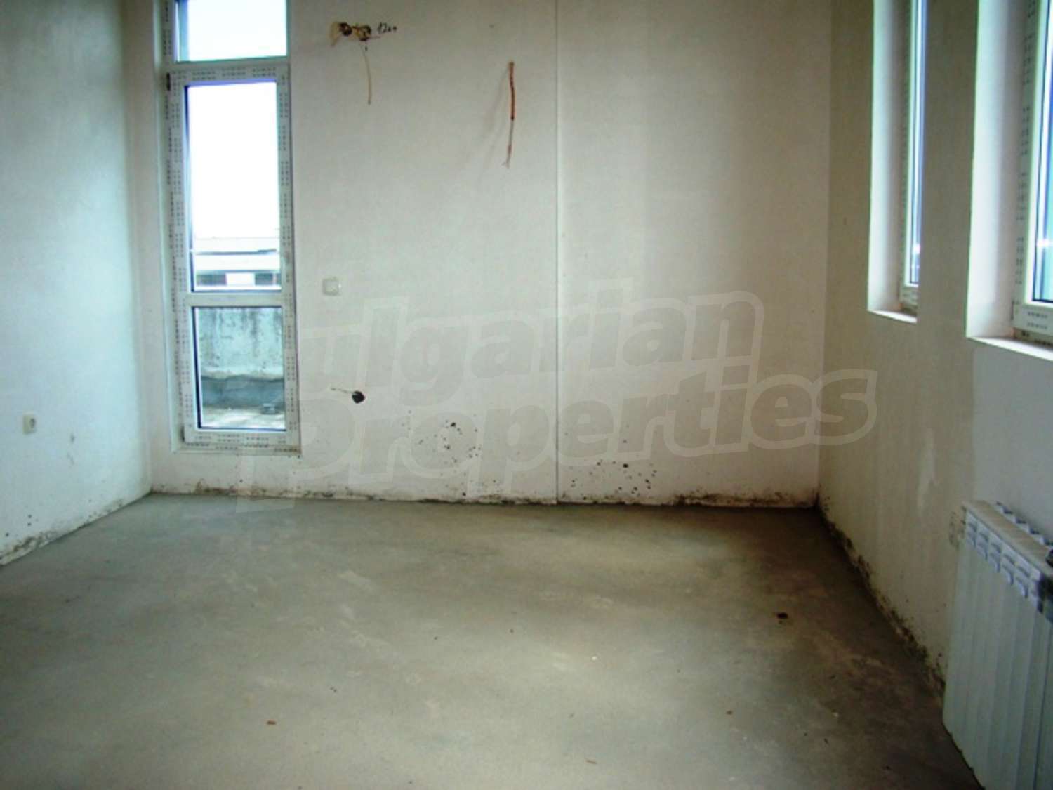 Gallery Picture 26