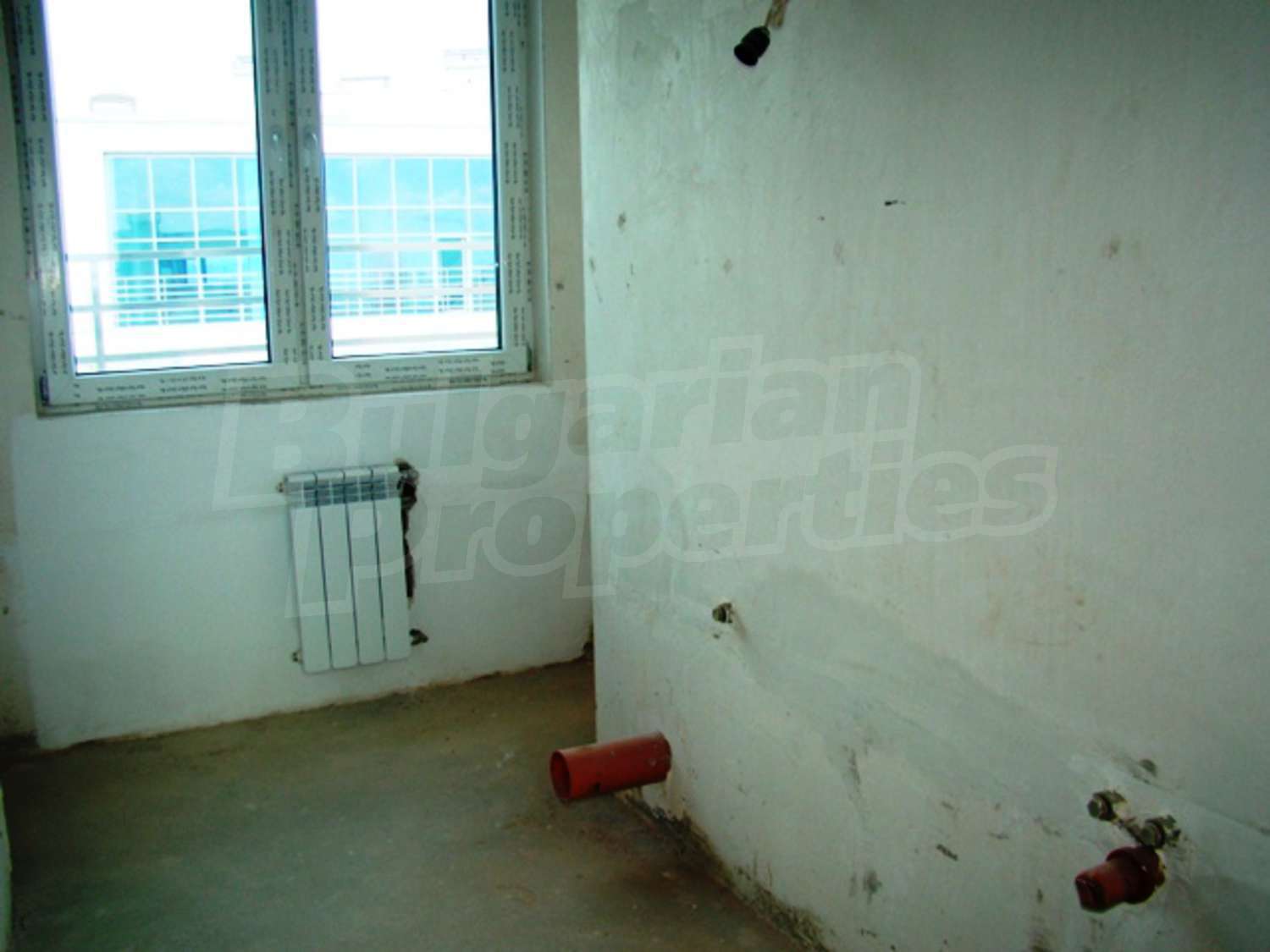 Gallery Picture 37