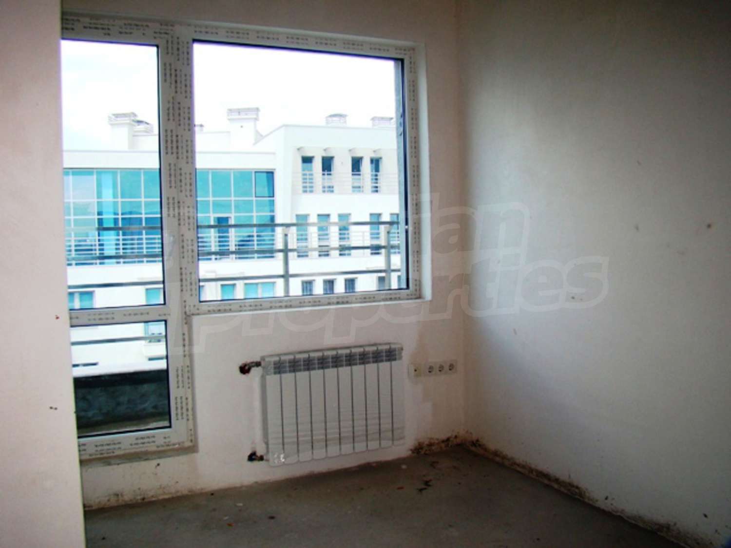 Gallery Picture 38