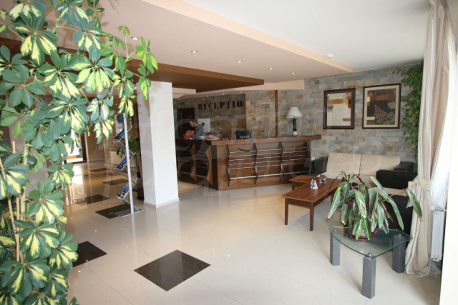 Gallery Picture 11
