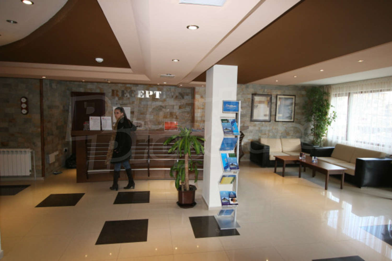 Gallery Picture 12