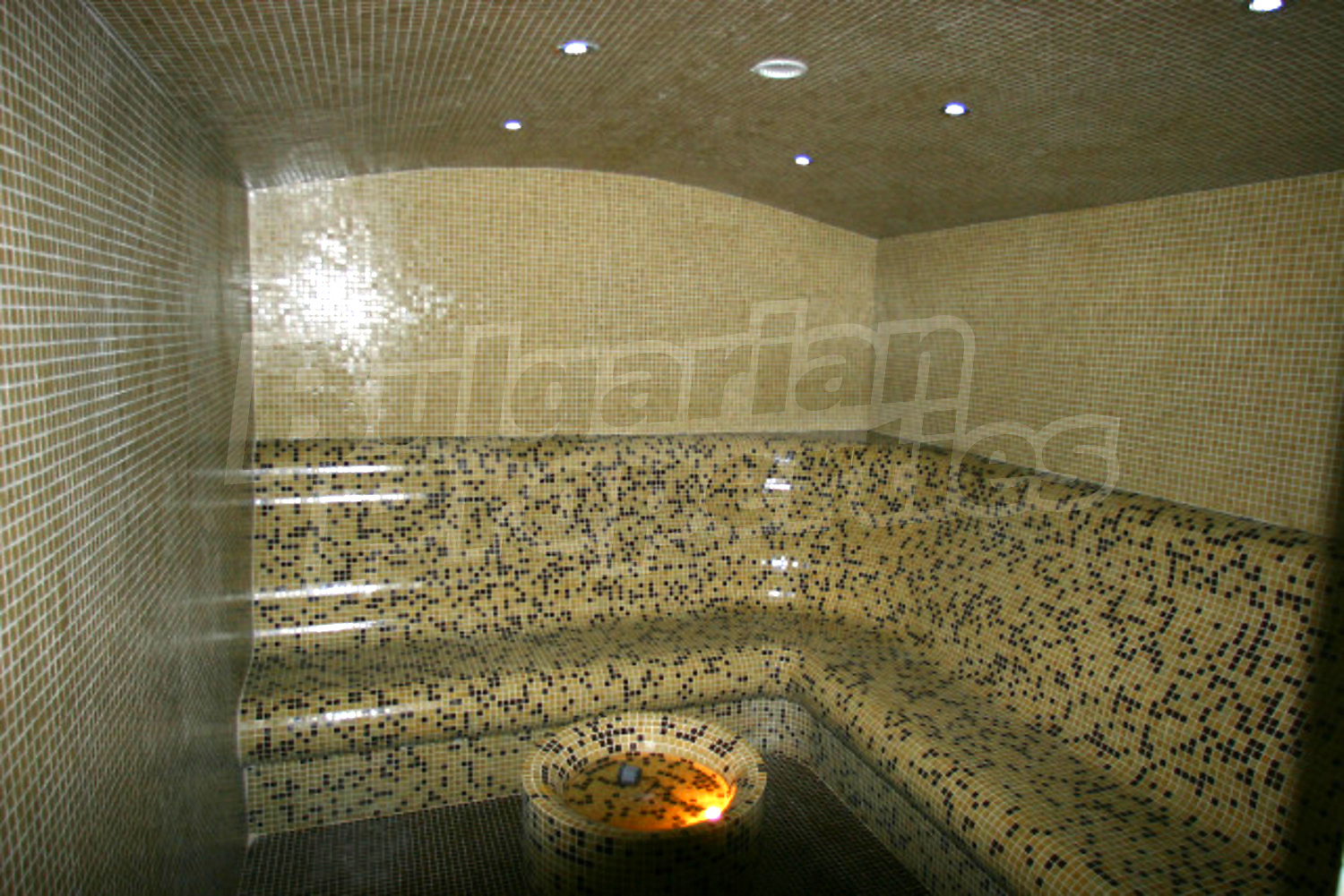 Gallery Picture 14