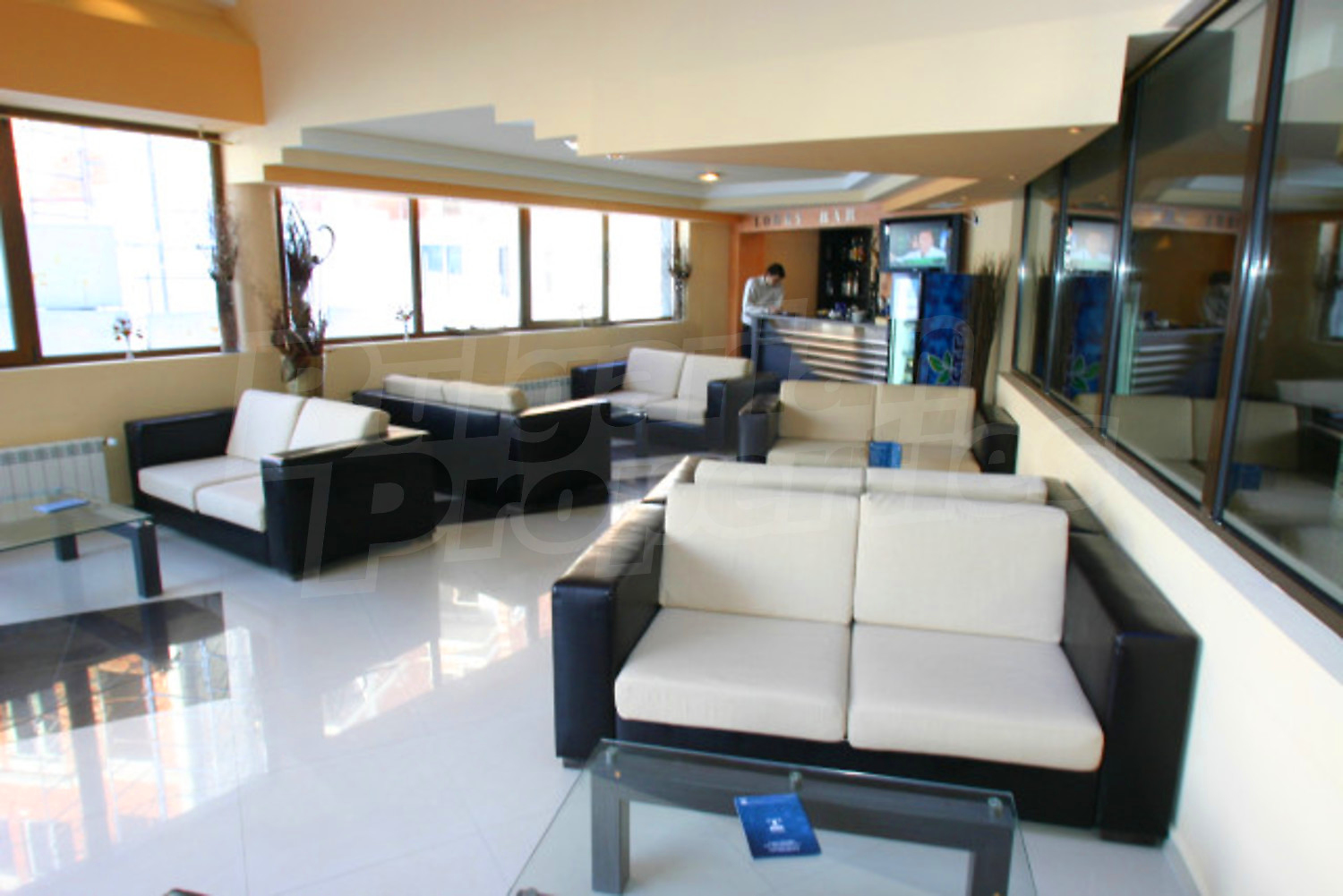 Gallery Picture 16