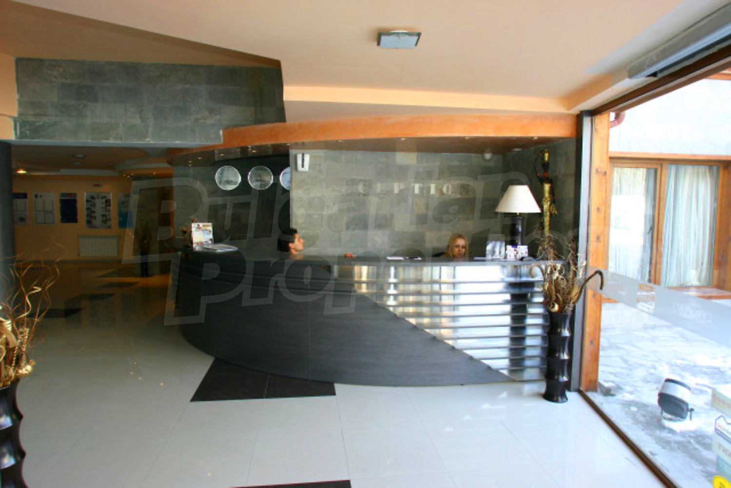 Gallery Picture 17