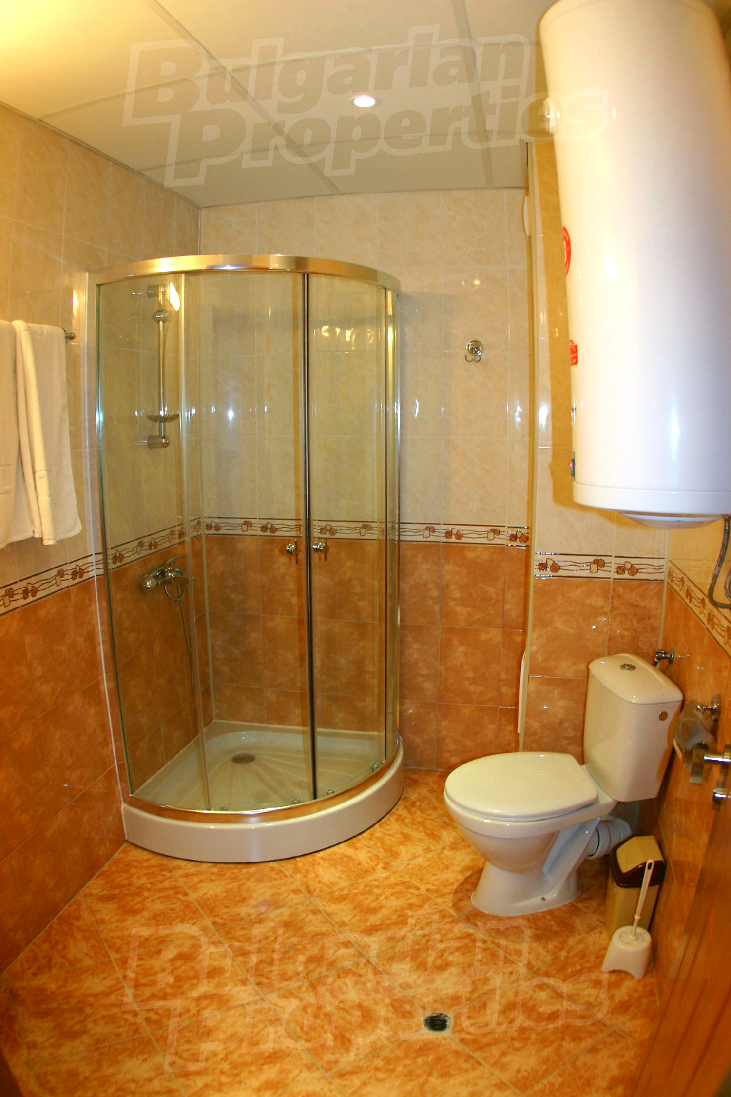 Gallery Picture 12