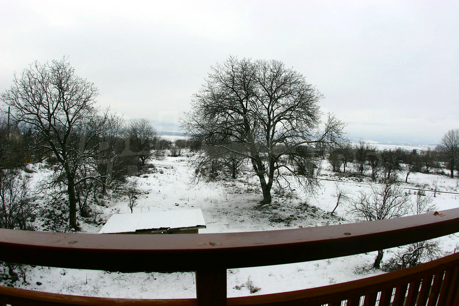 Gallery Picture 17
