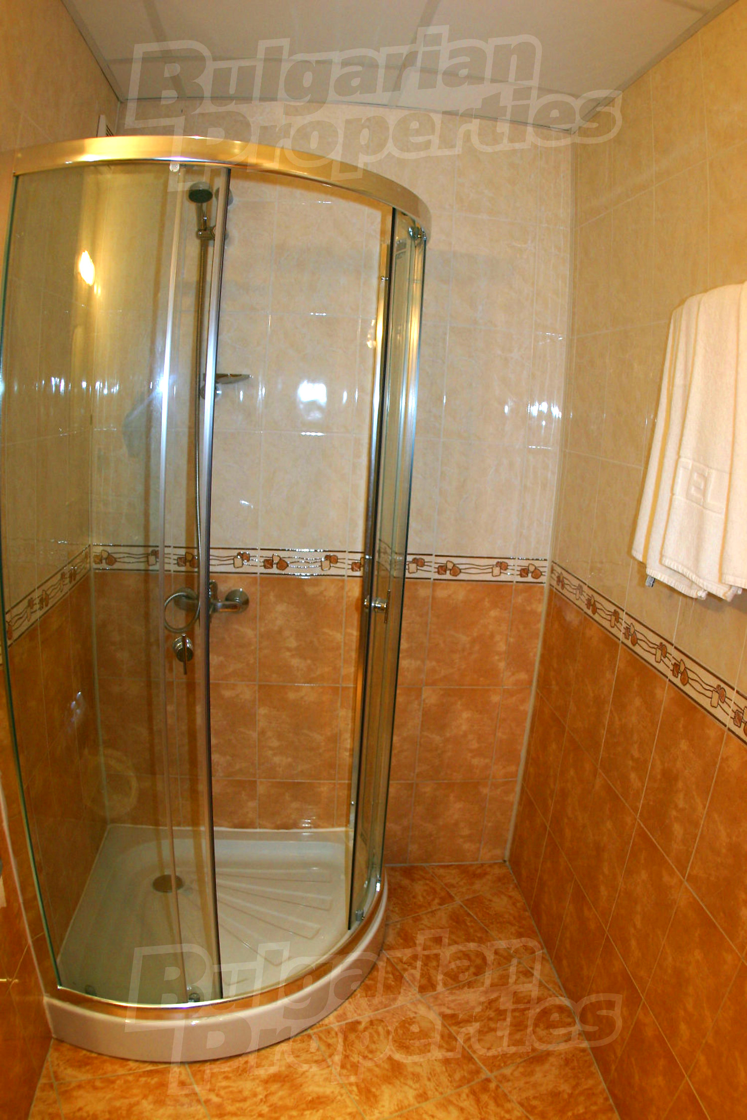 Gallery Picture 28